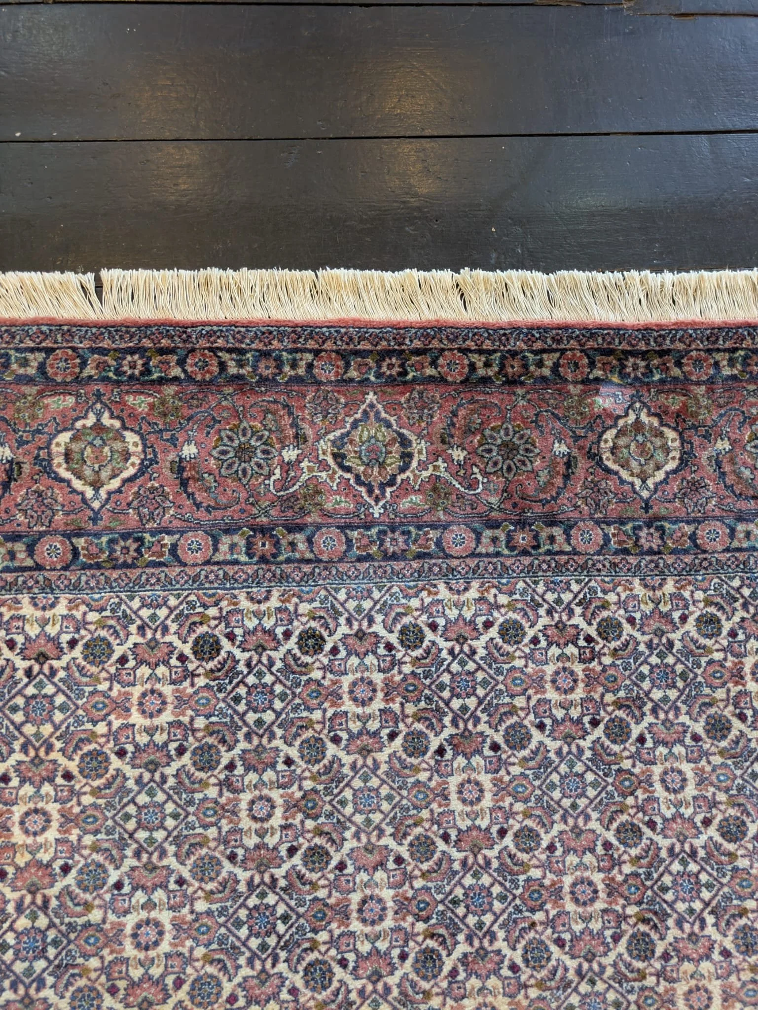 PHOTO-2026-04-16-13-18-46 6.jpg