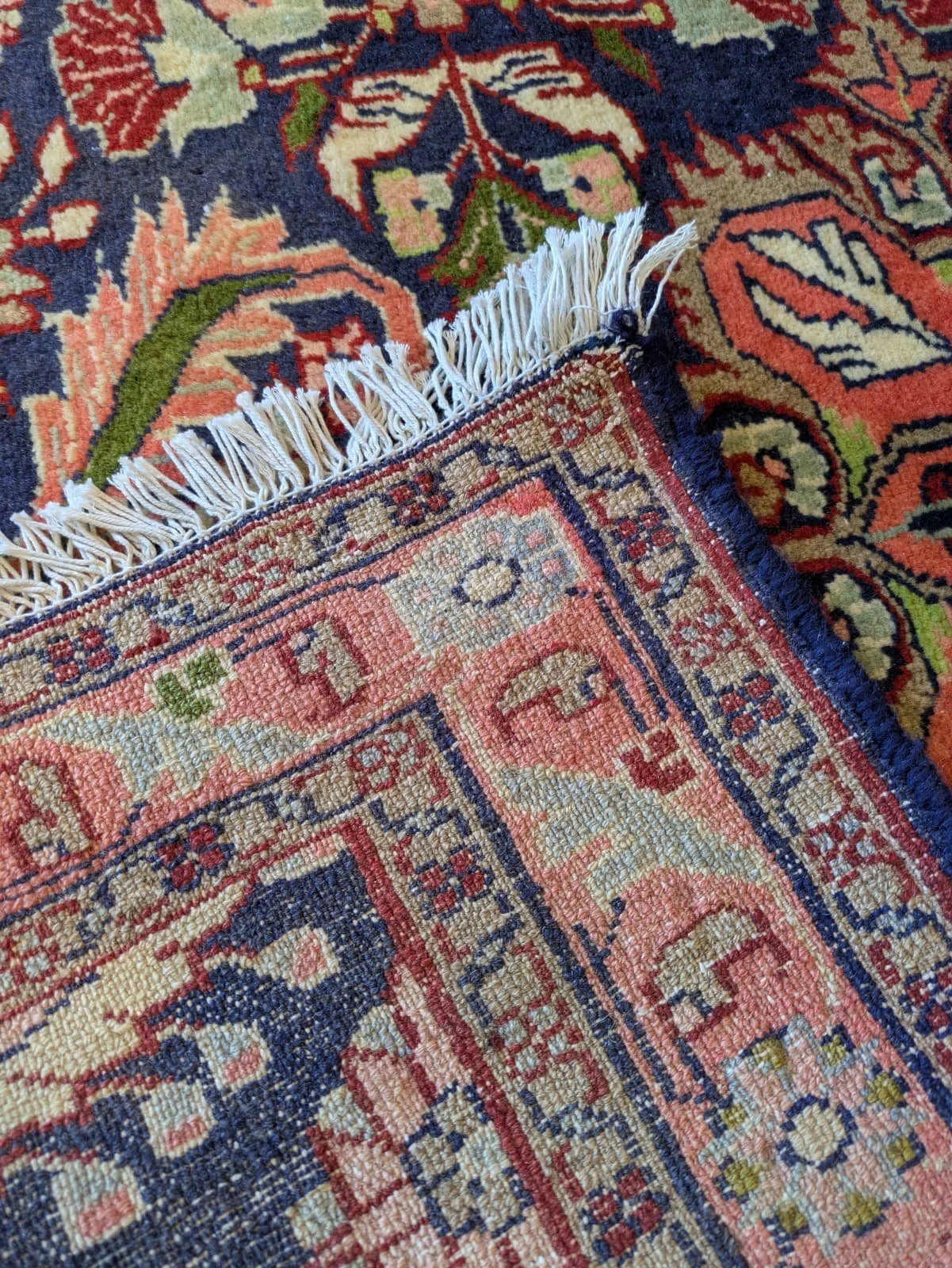 PHOTO-2026-04-16-13-18-53 2.jpg