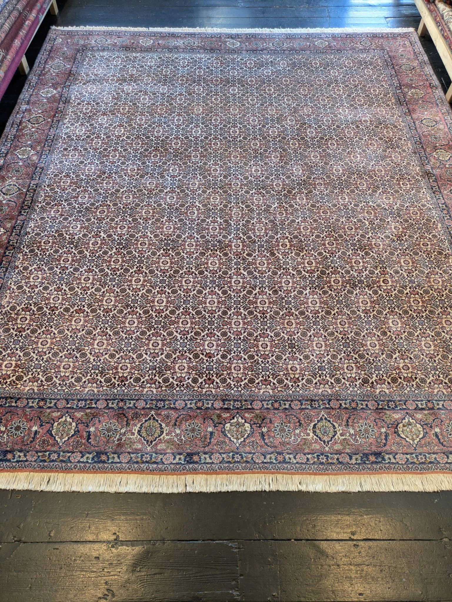 PHOTO-2026-04-16-13-18-45 3.jpg