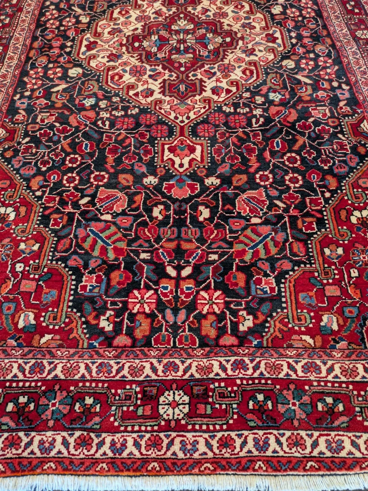 PHOTO-2026-04-20-16-37-11 4.jpg