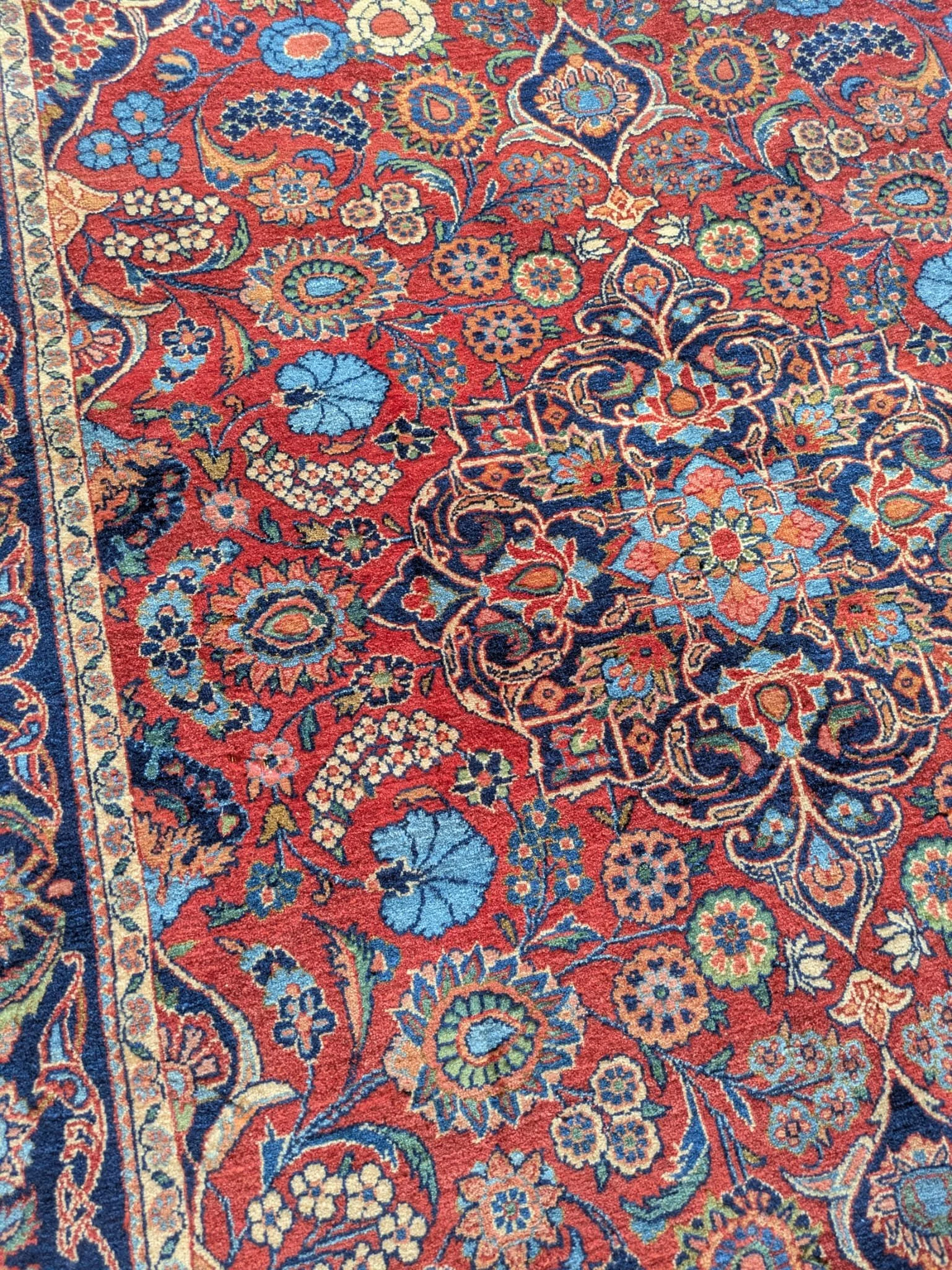 PHOTO-2026-04-24-13-15-22 5.jpg