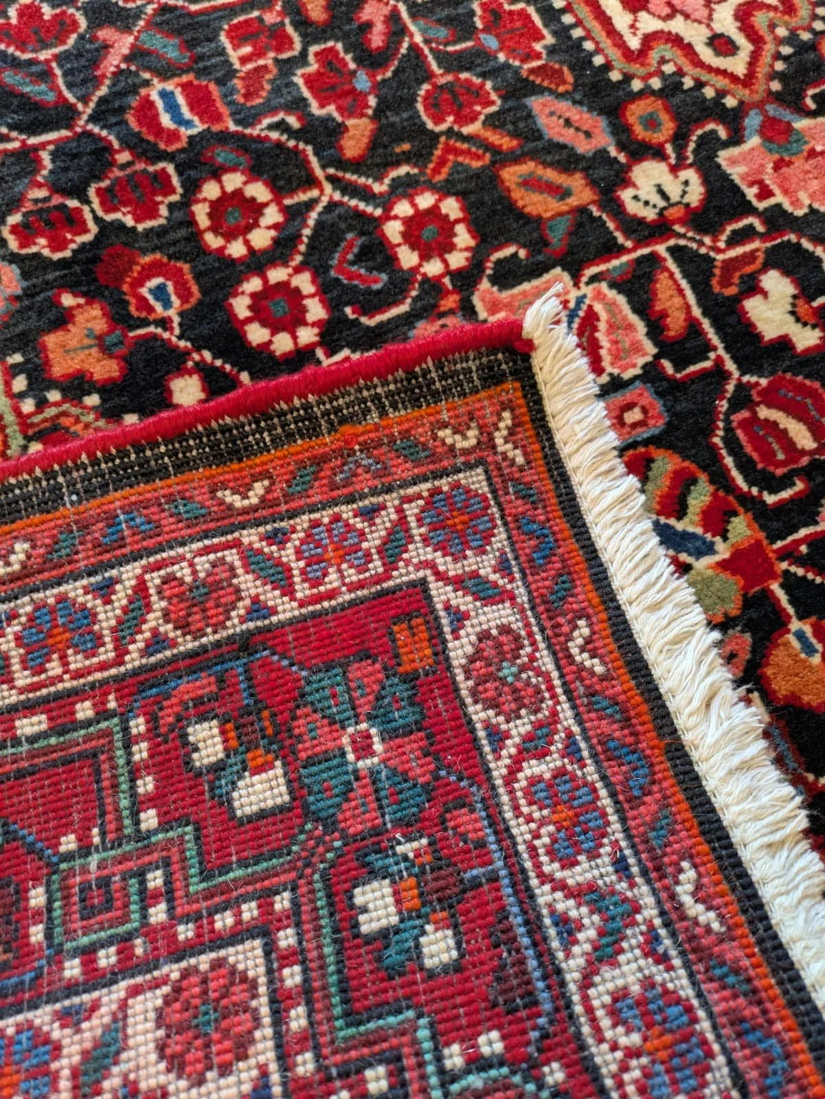 PHOTO-2026-04-20-16-37-11 2.jpg