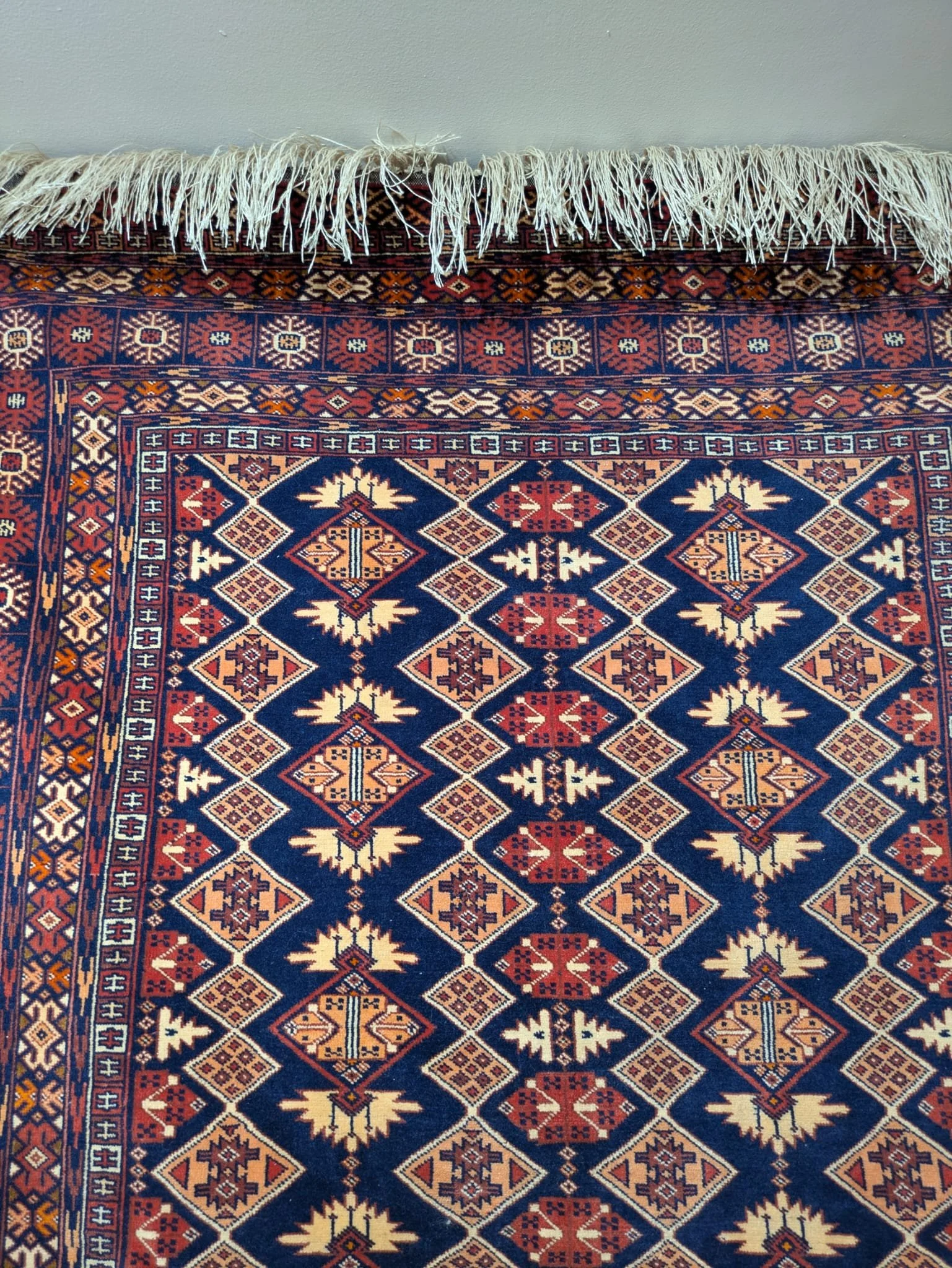 PHOTO-2026-04-24-13-15-37 2.jpg