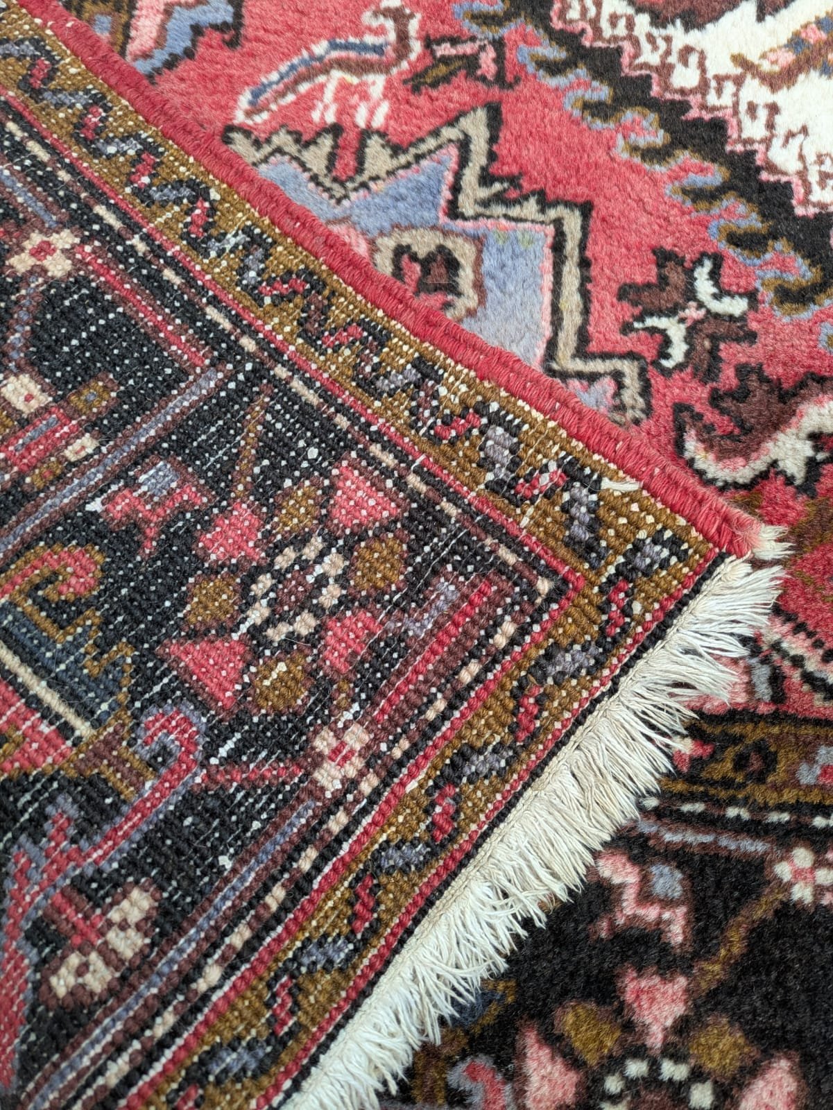 PHOTO-2026-04-16-13-16-54 3.jpg