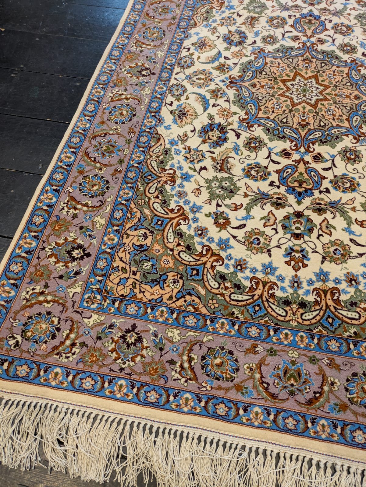 PHOTO-2026-04-16-13-18-47 8.jpg