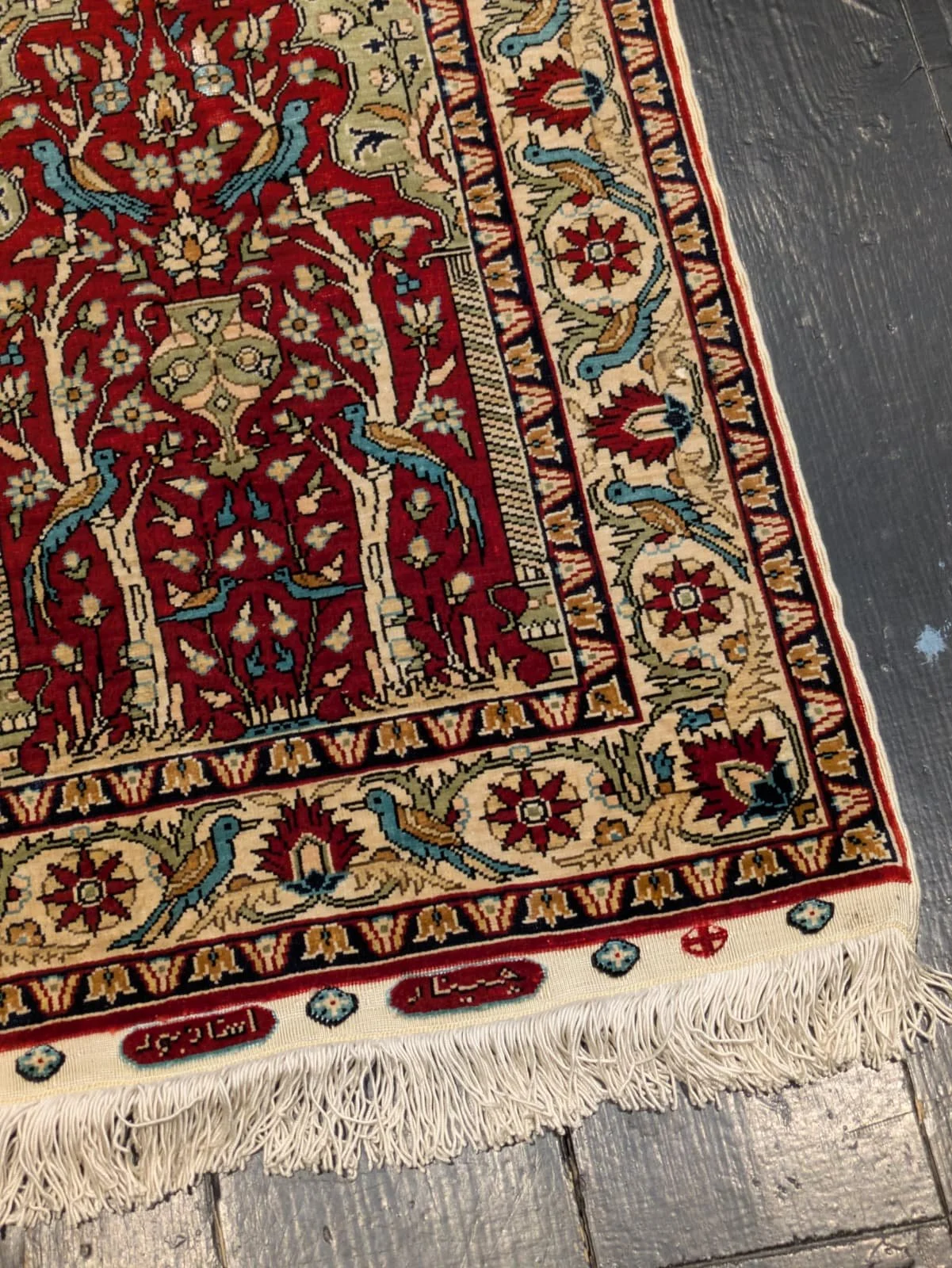 PHOTO-2026-04-24-19-23-23 2.jpg