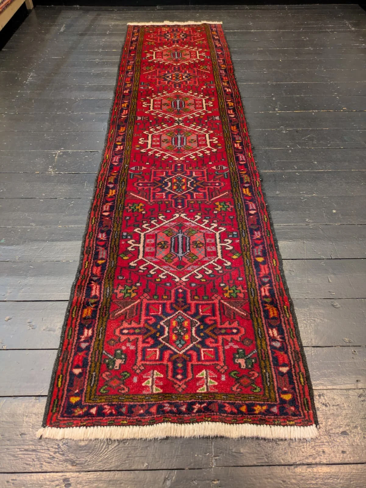 PHOTO-2026-04-20-16-36-08 2.jpg