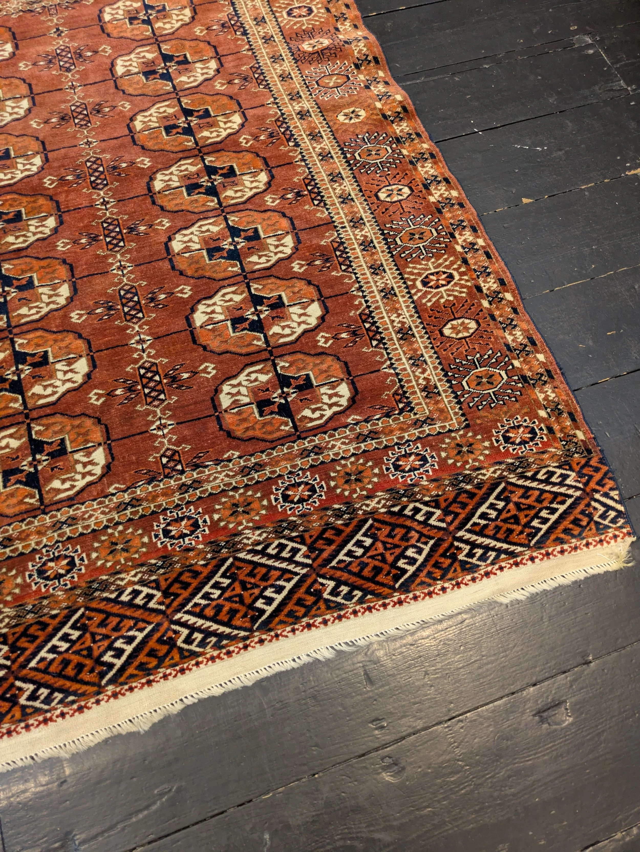 PHOTO-2026-04-16-13-17-28 2.jpg