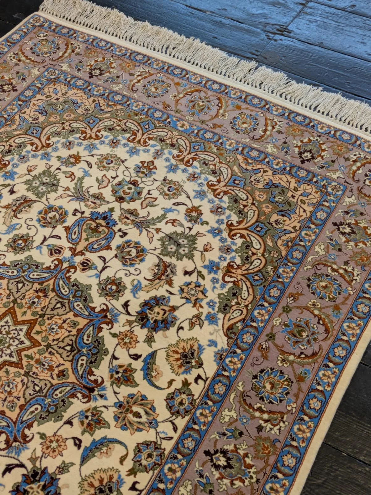 PHOTO-2026-04-16-13-18-47 3.jpg