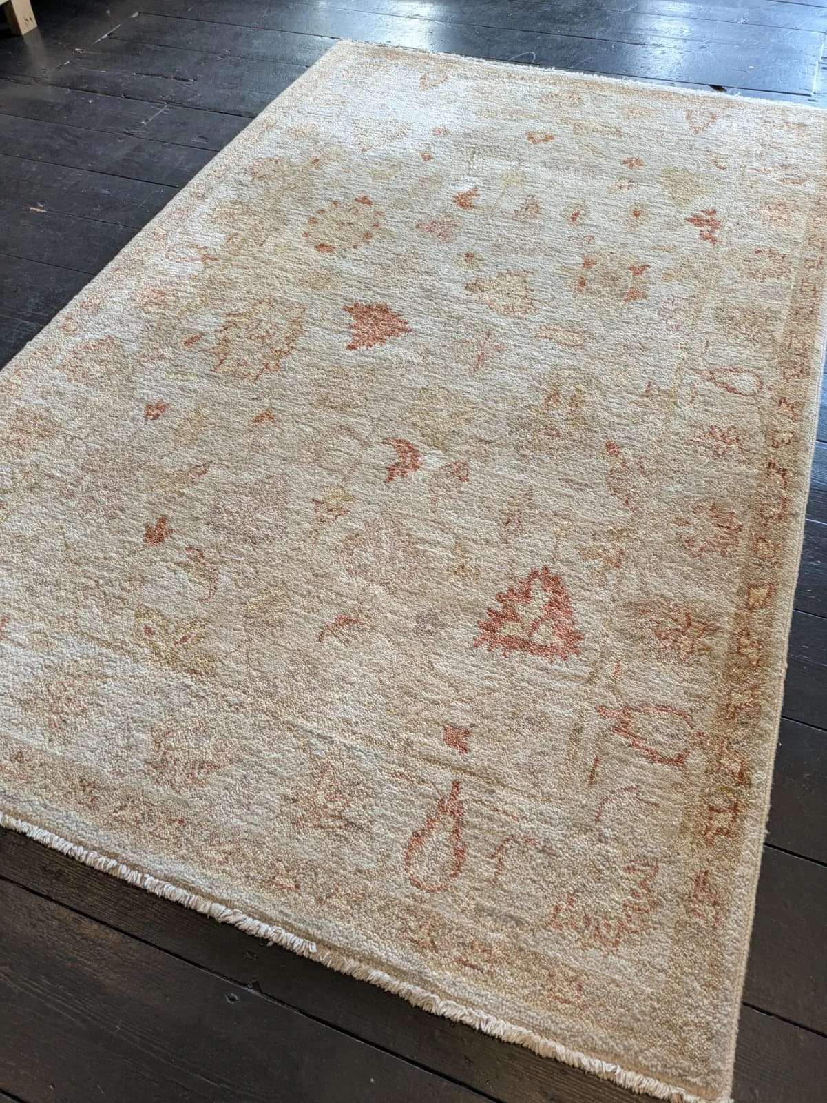 PHOTO-2026-04-24-13-15-40 2.jpg