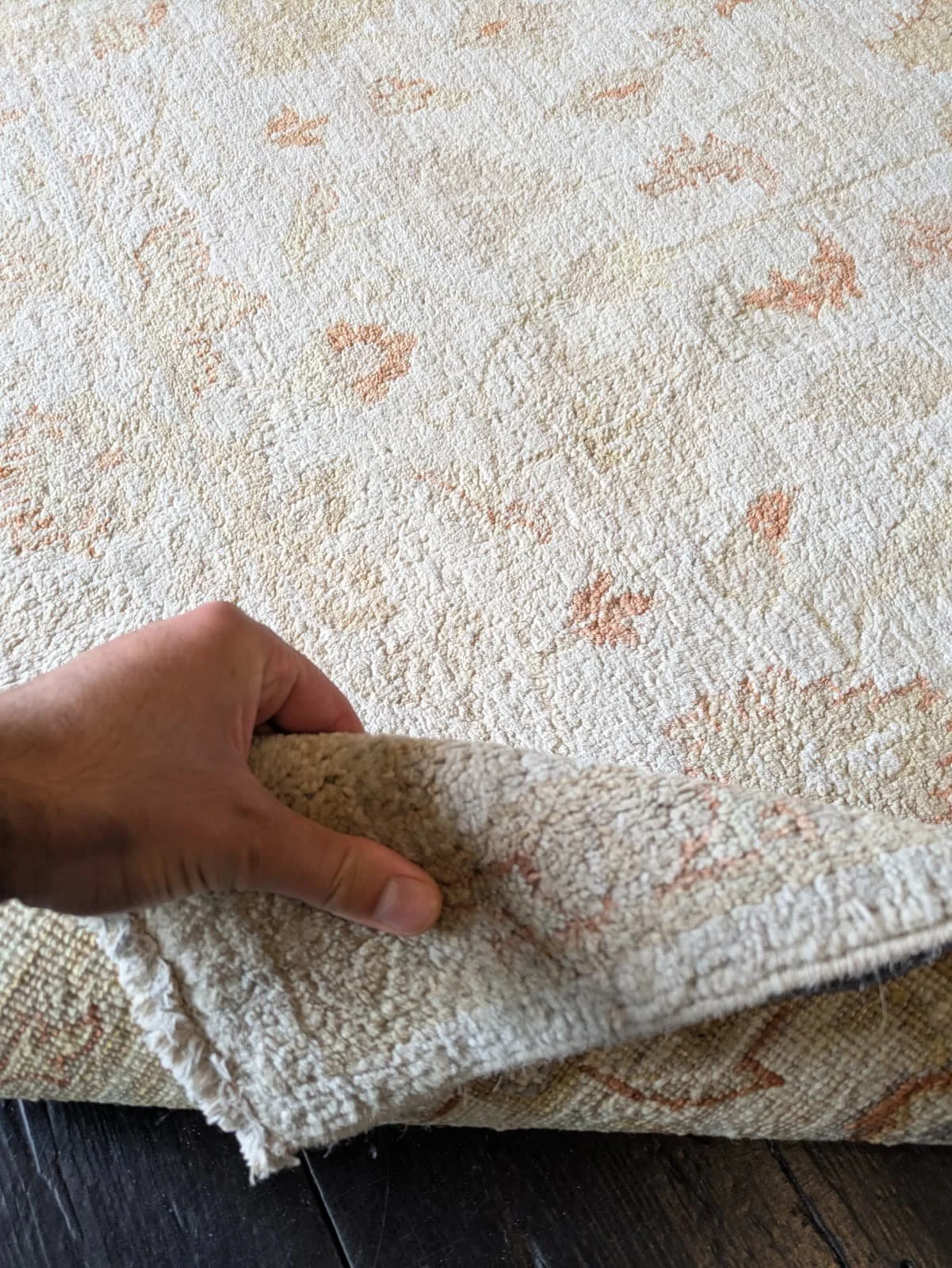 PHOTO-2026-04-24-13-15-41 4.jpg