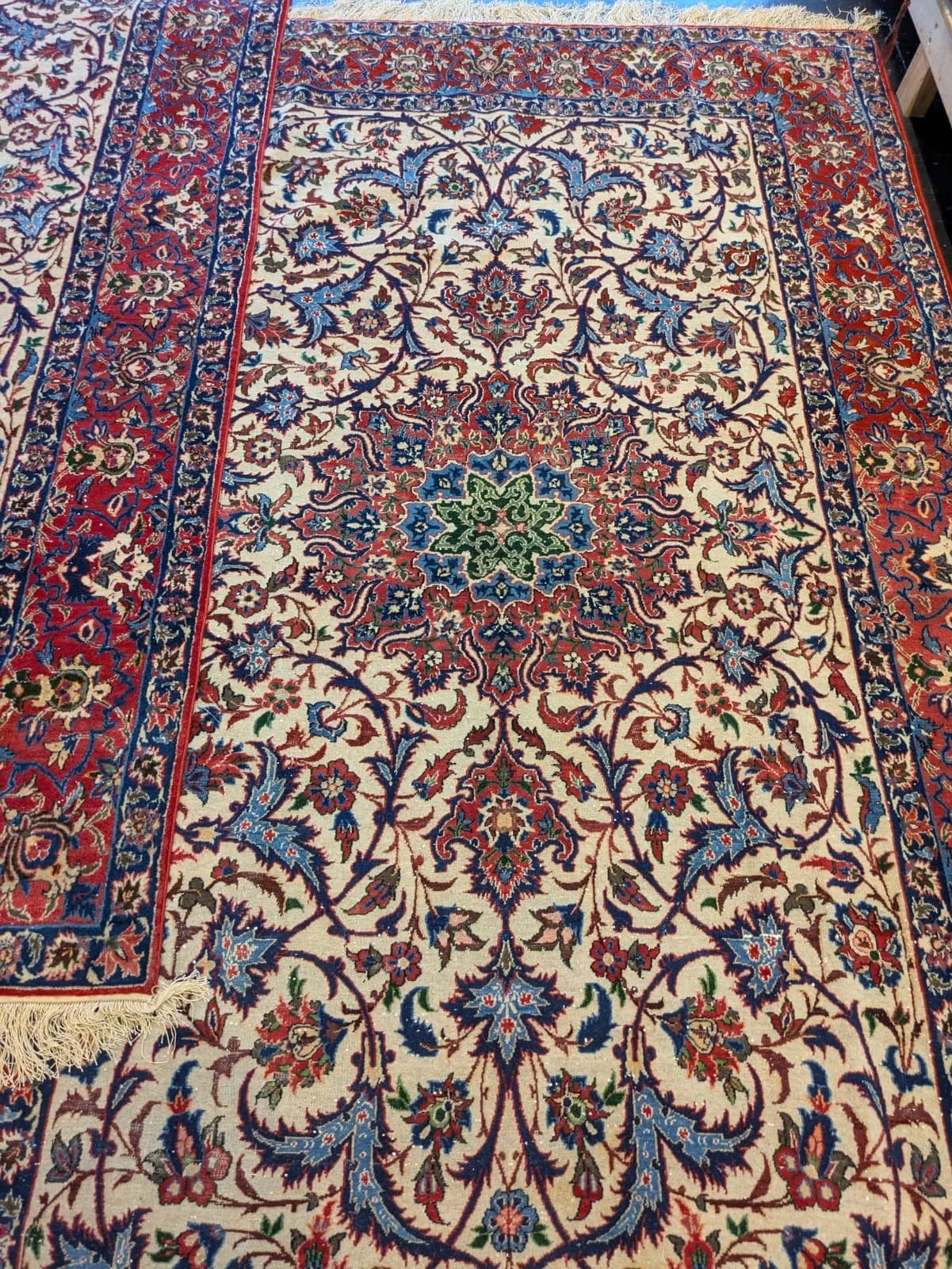 PHOTO-2026-04-16-13-18-43 2.jpg