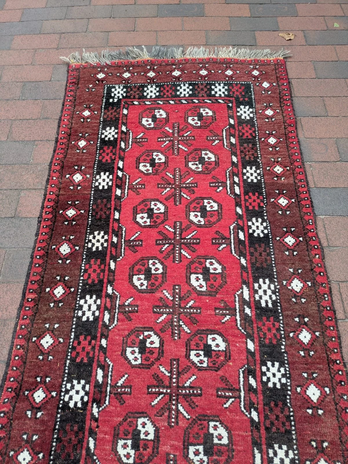 PHOTO-2026-04-24-19-23-24 5.jpg