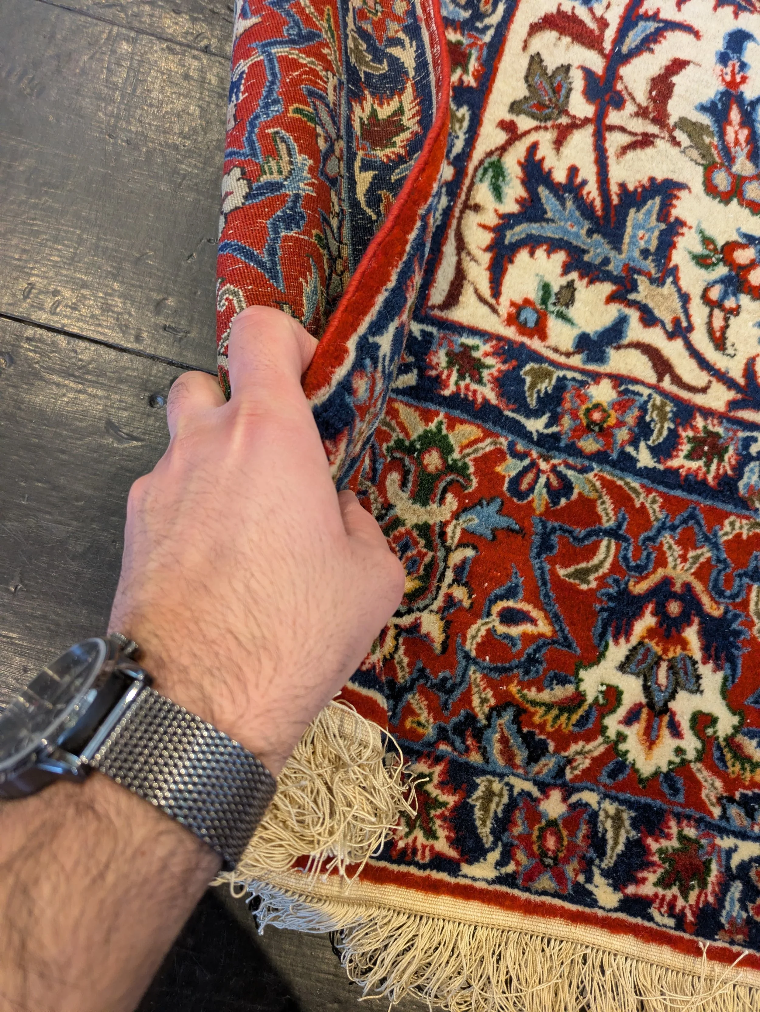 PHOTO-2026-04-16-13-18-45 5.jpg