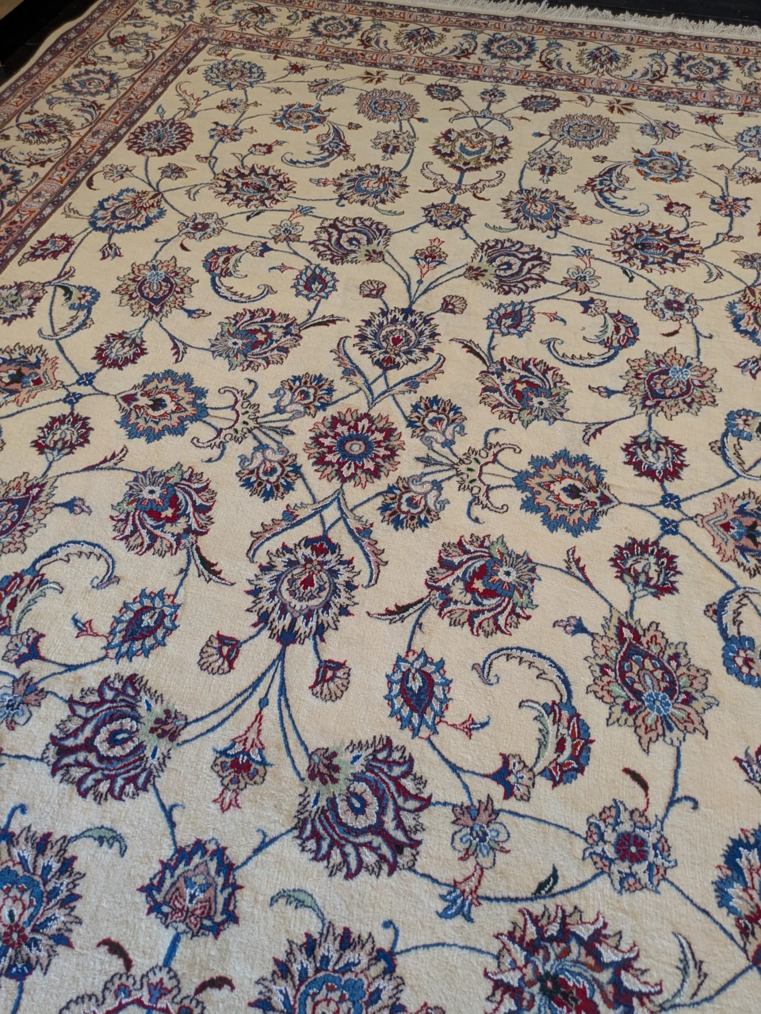 PHOTO-2026-04-24-13-15-38 2.jpg