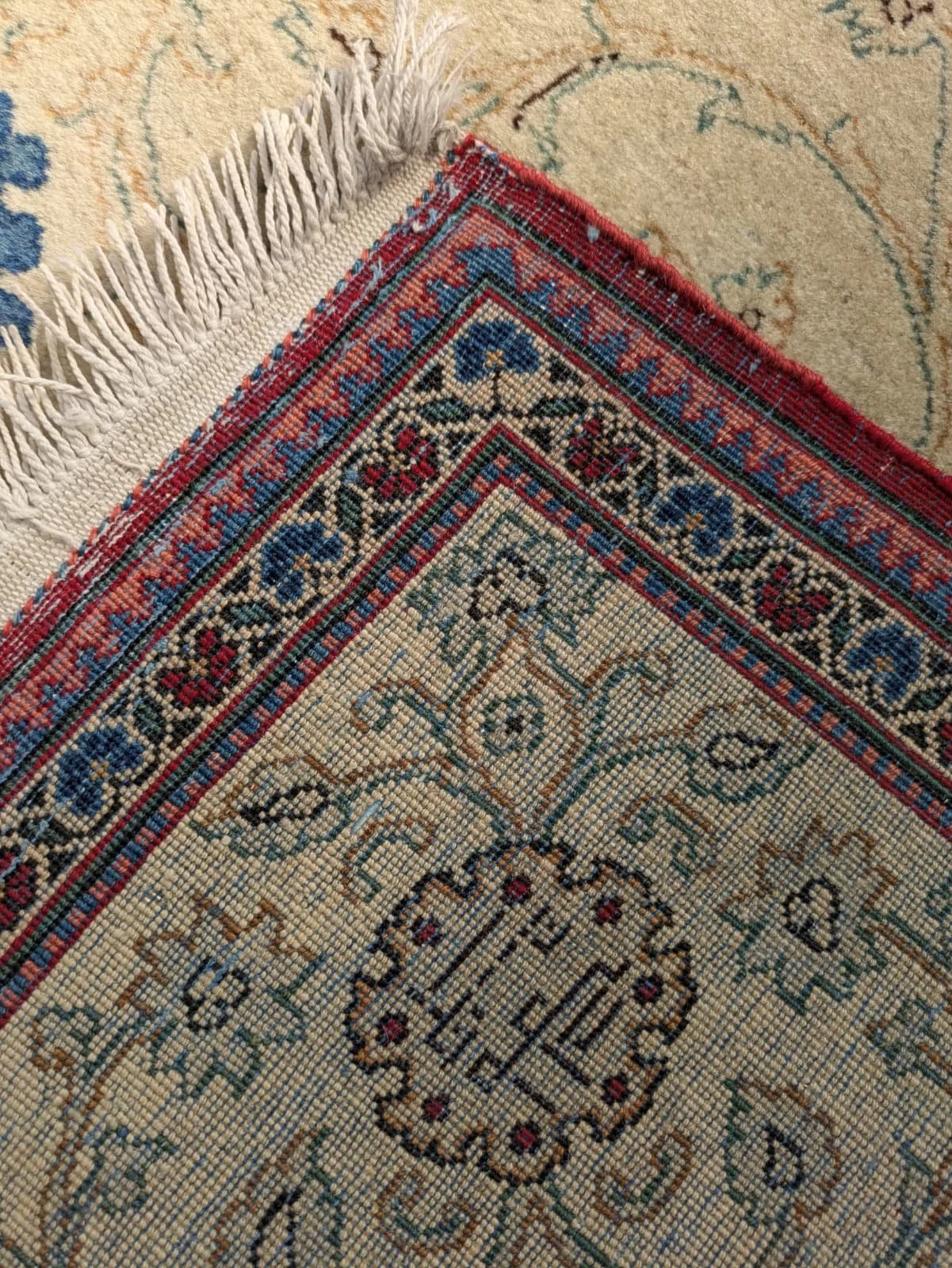 PHOTO-2026-04-14-16-56-59 6.jpg