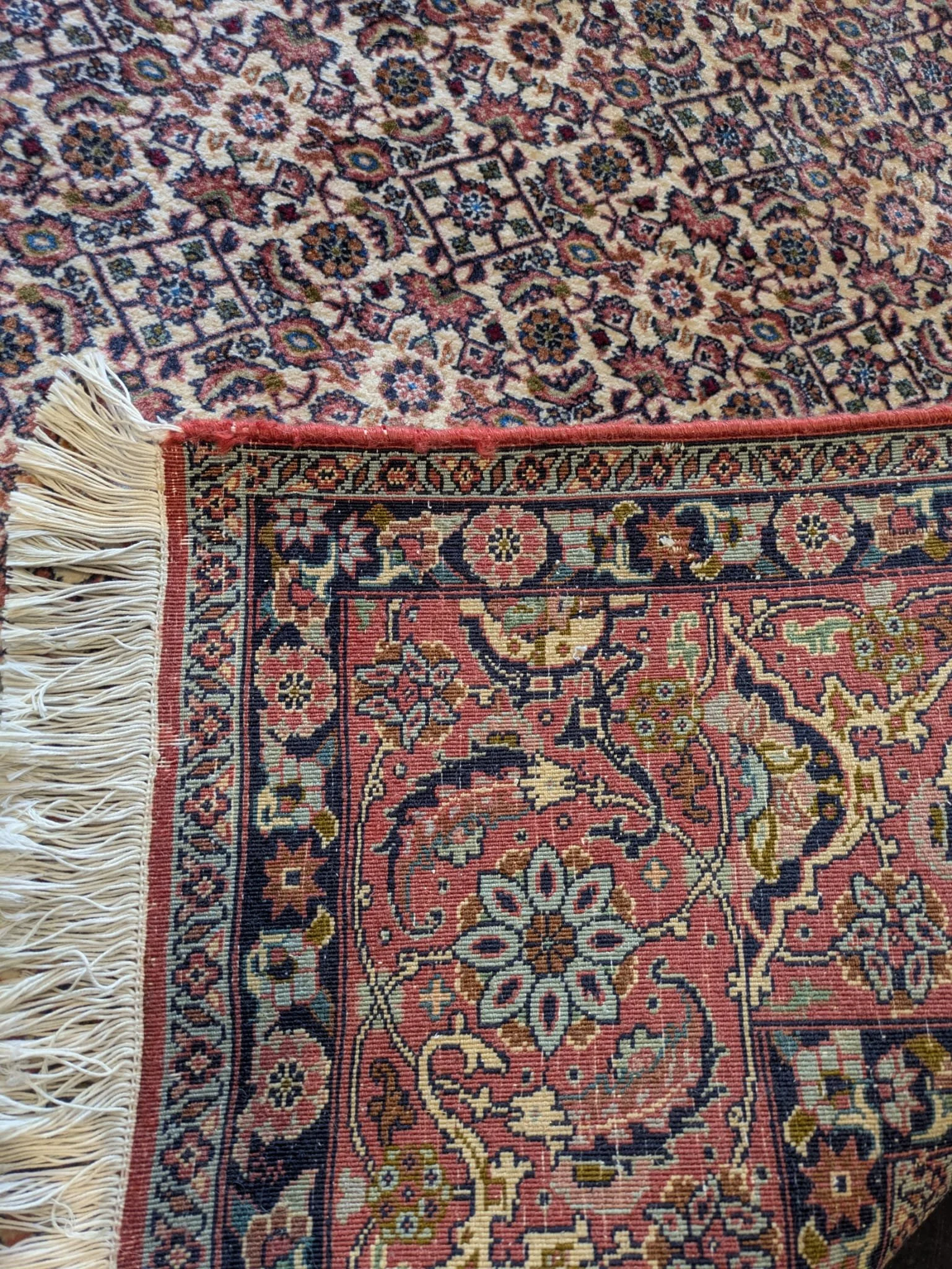 PHOTO-2026-04-16-13-18-46 5.jpg