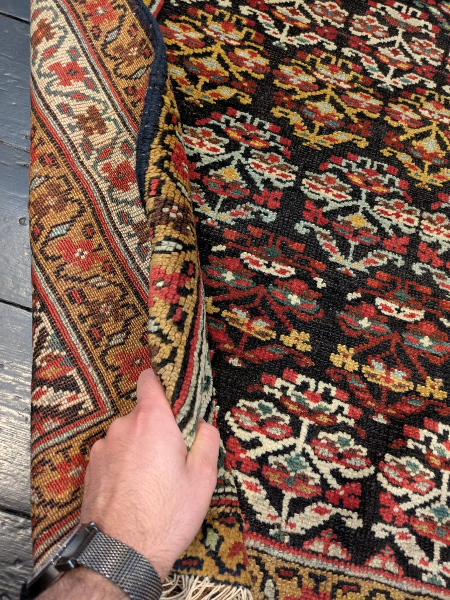 PHOTO-2026-04-14-16-59-58 4.jpg