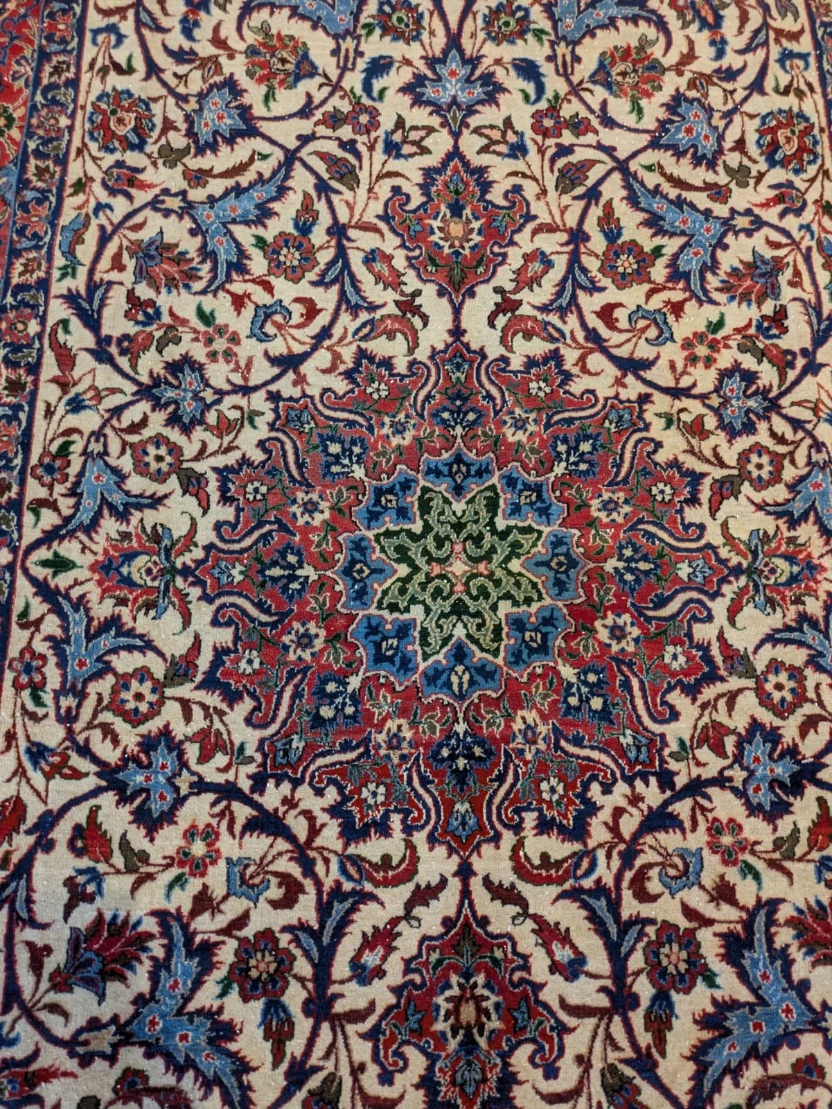 PHOTO-2026-04-16-13-18-44 2.jpg