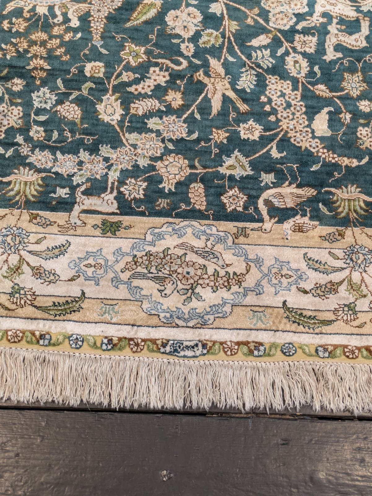 PHOTO-2026-04-24-19-22-51 3.jpg