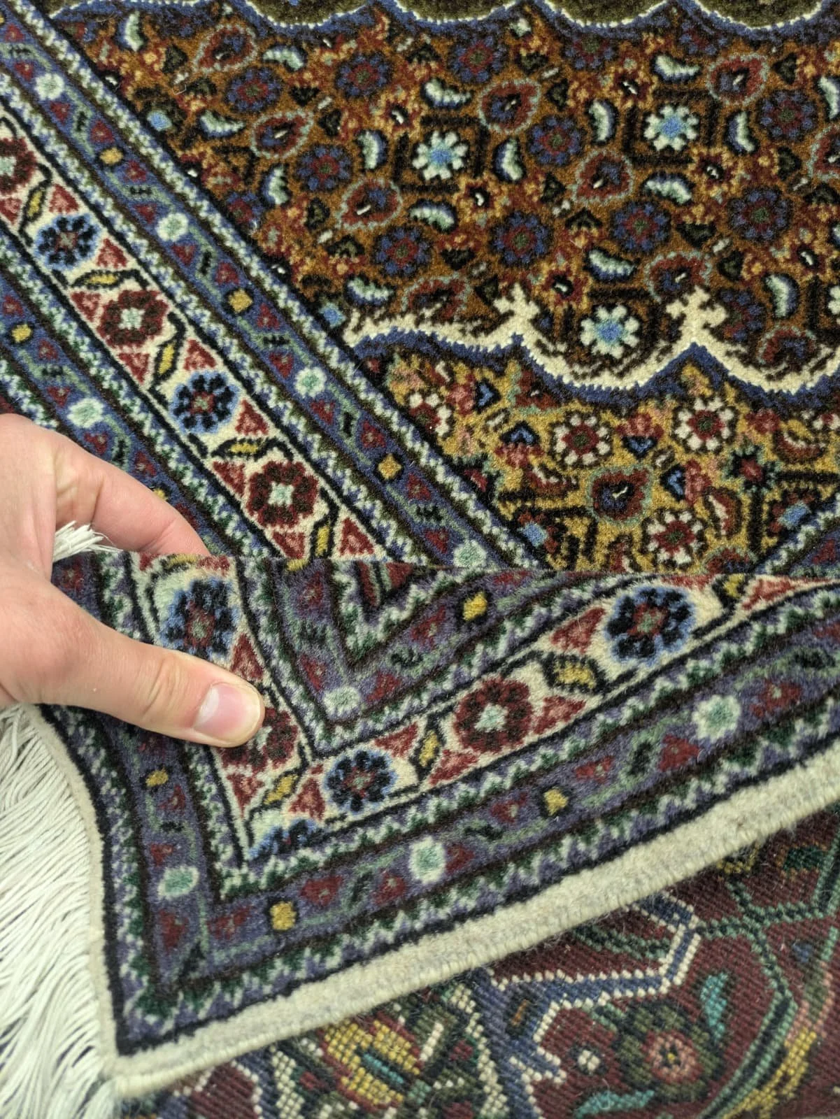 PHOTO-2026-04-16-23-57-47 2.jpg