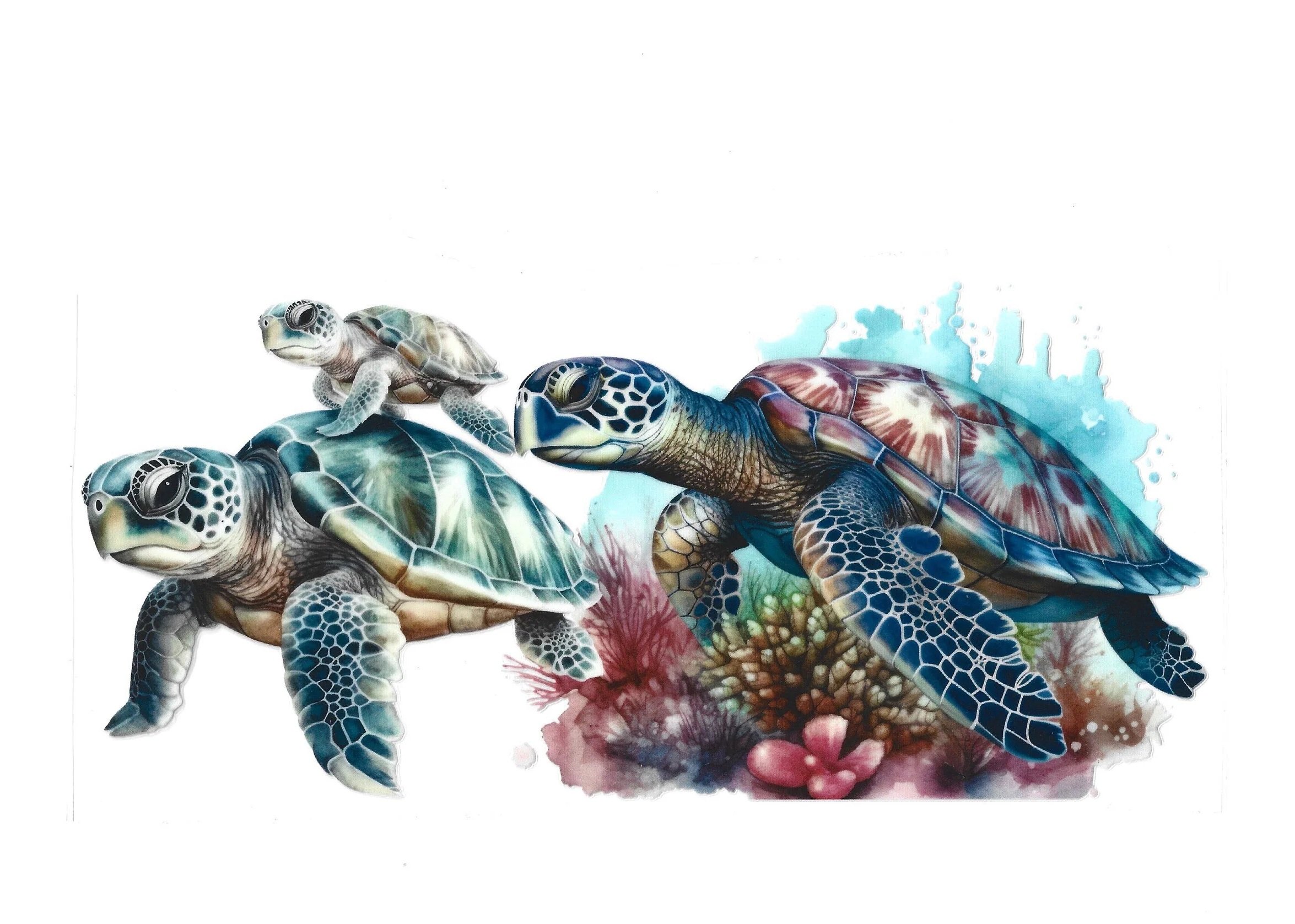 Turtles- 16 OZ Wraps