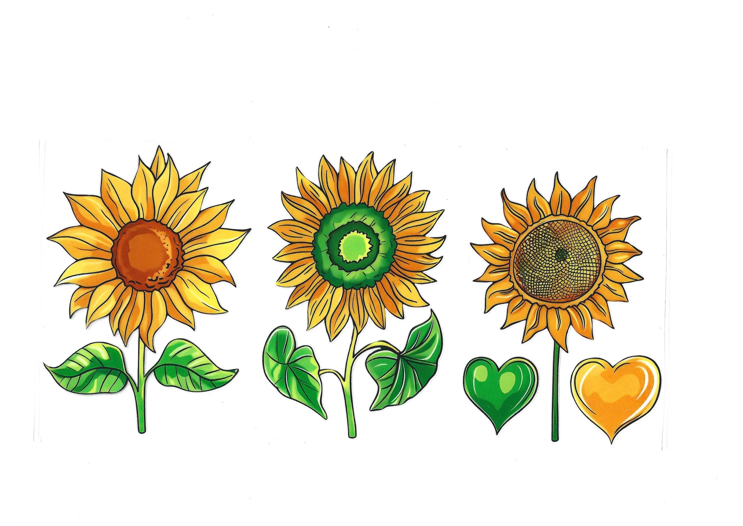 Flowers - 16 OZ Wraps