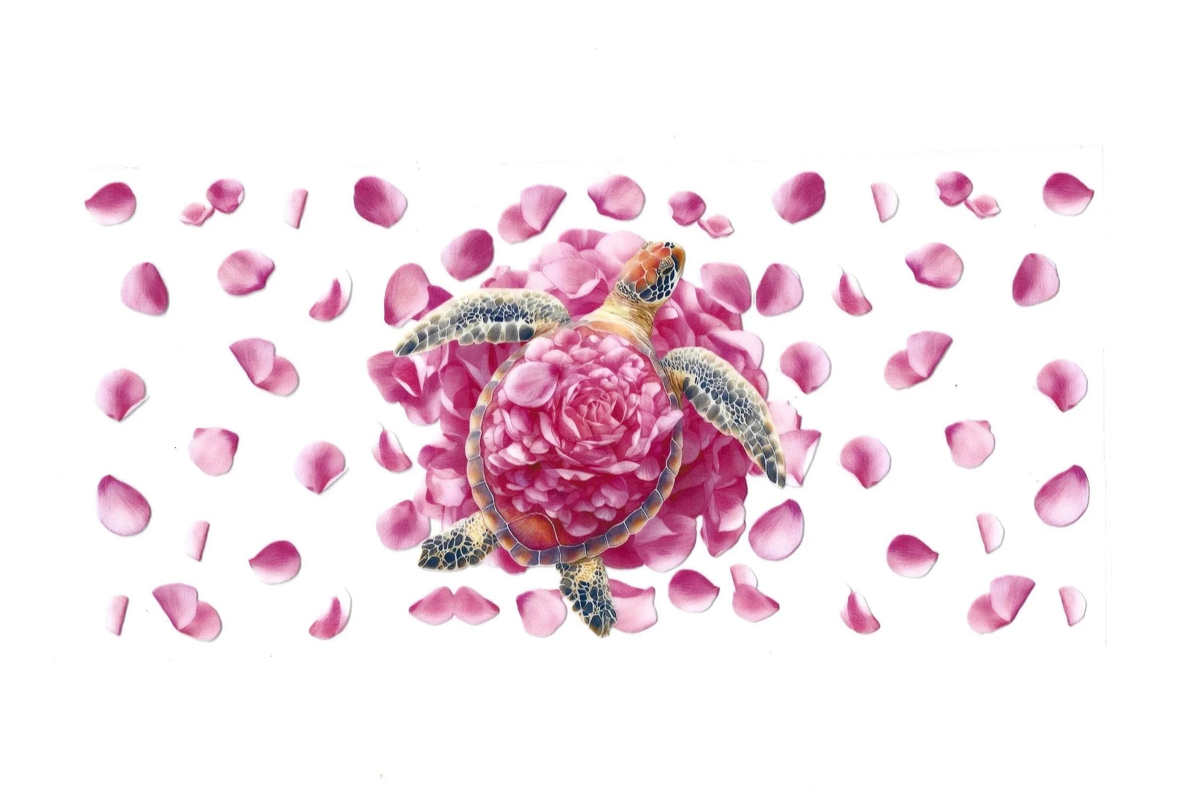 Turtles- 16 OZ Wraps