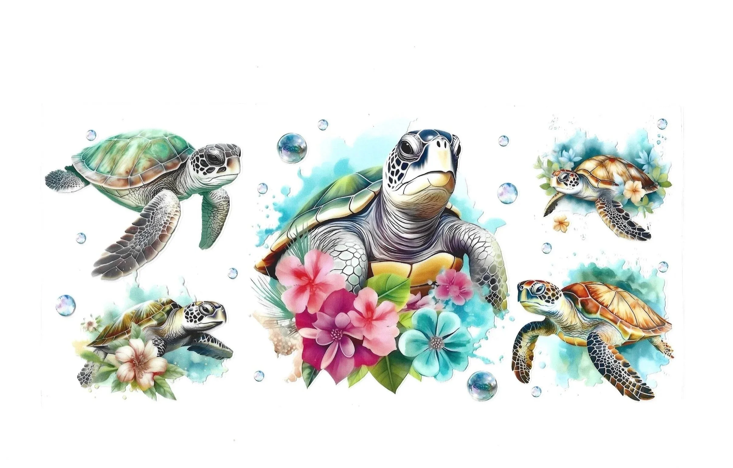 Turtles- 16 OZ Wraps