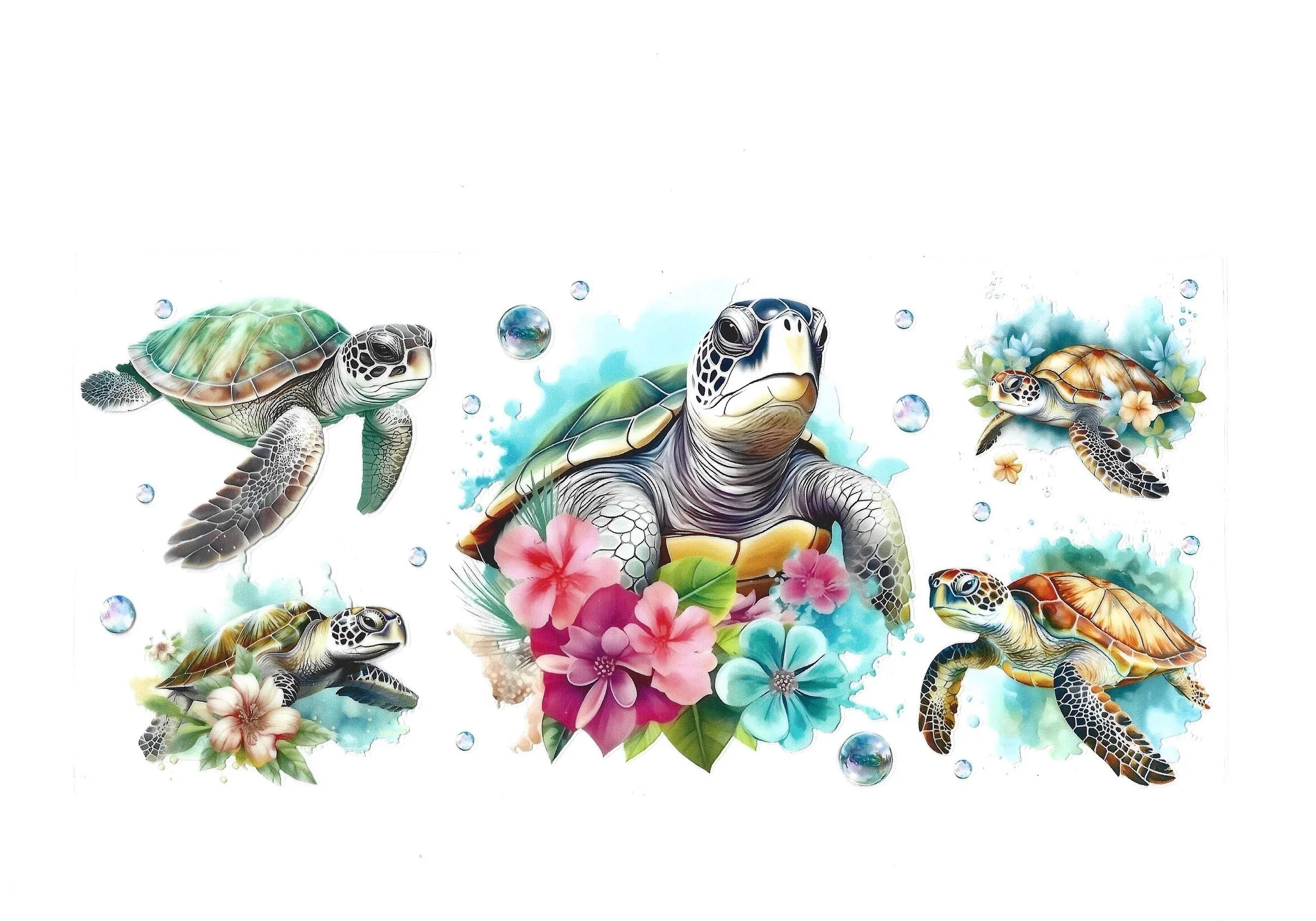 Turtles- 16 OZ Wraps