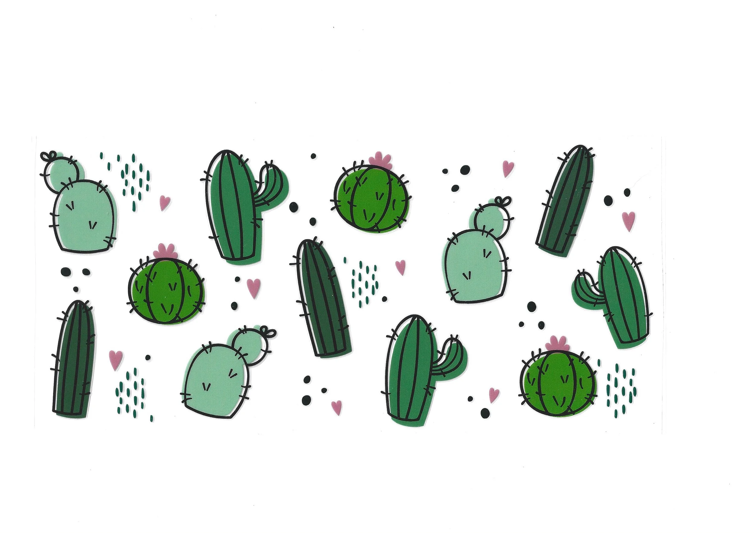 Cactus - 16 OZ Wraps