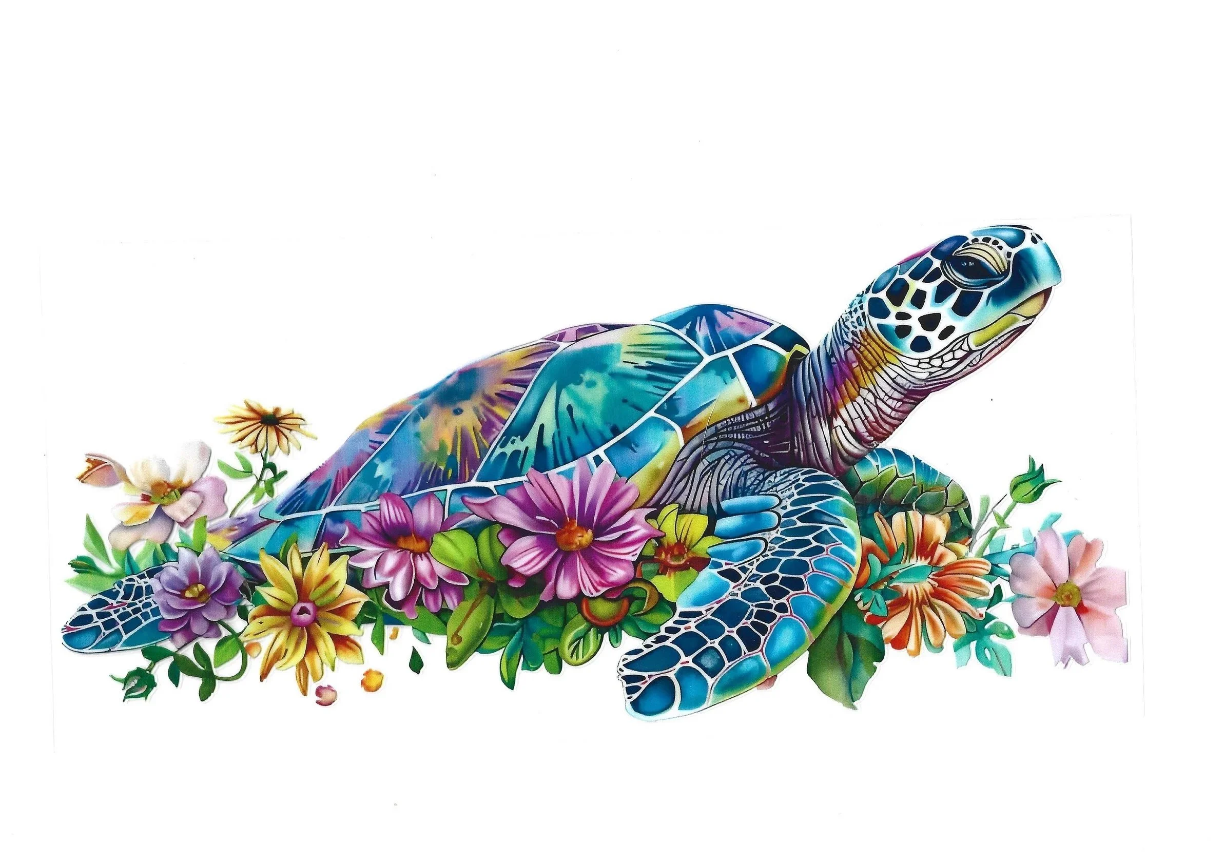 Turtles- 16 OZ Wraps