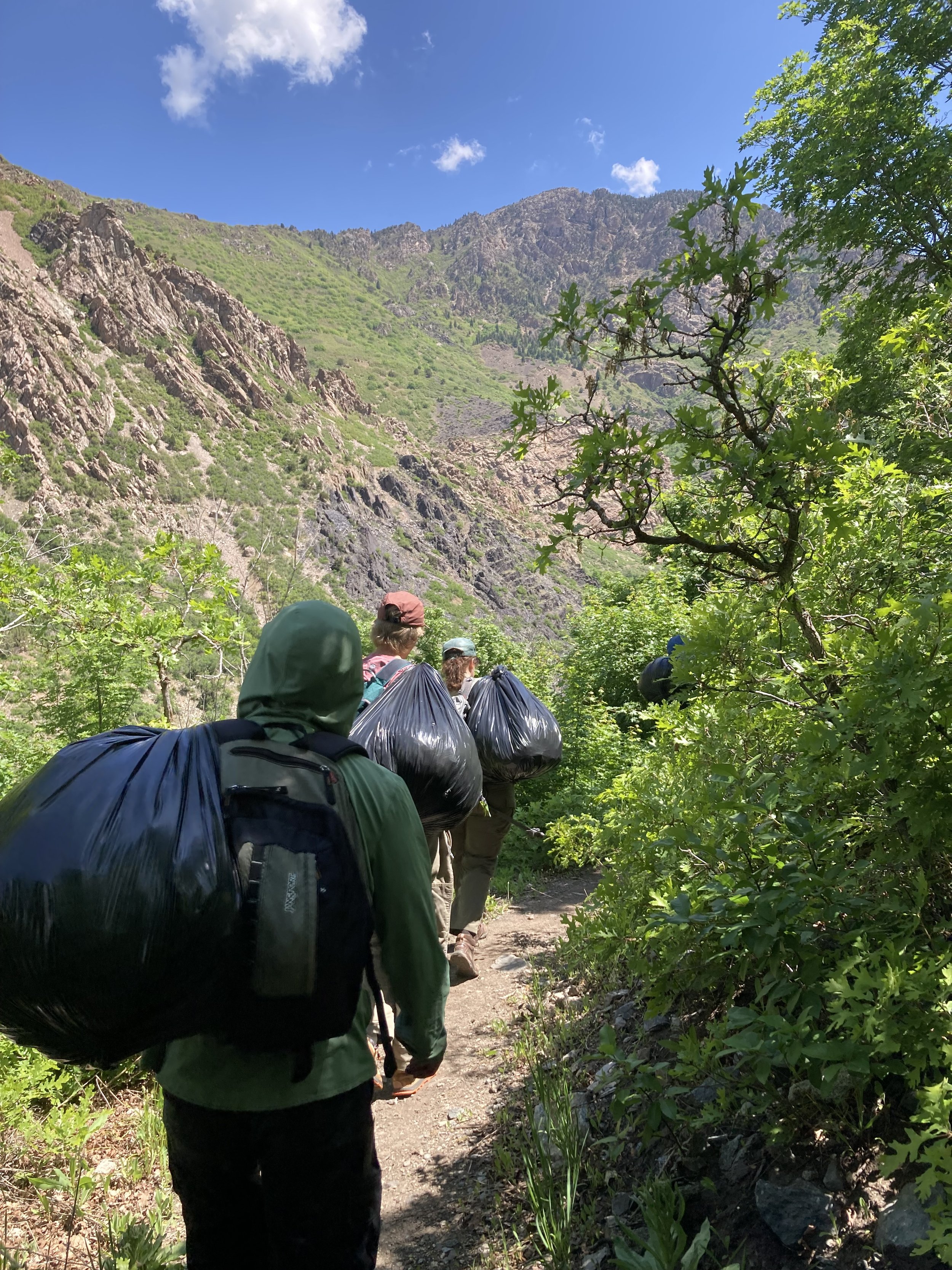 Spring is the Perfect Time for Nature Volunteering
