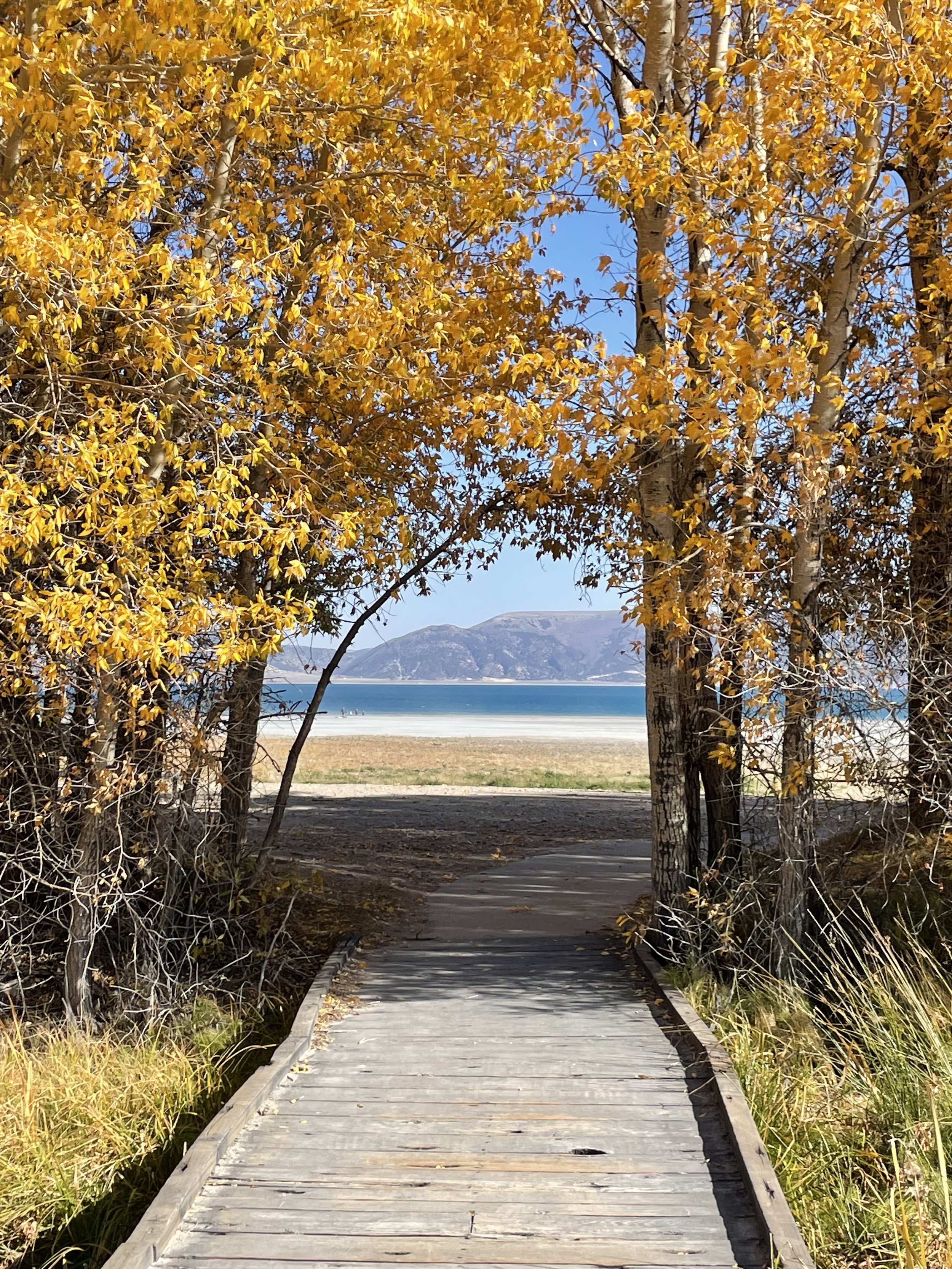 Bear Lake