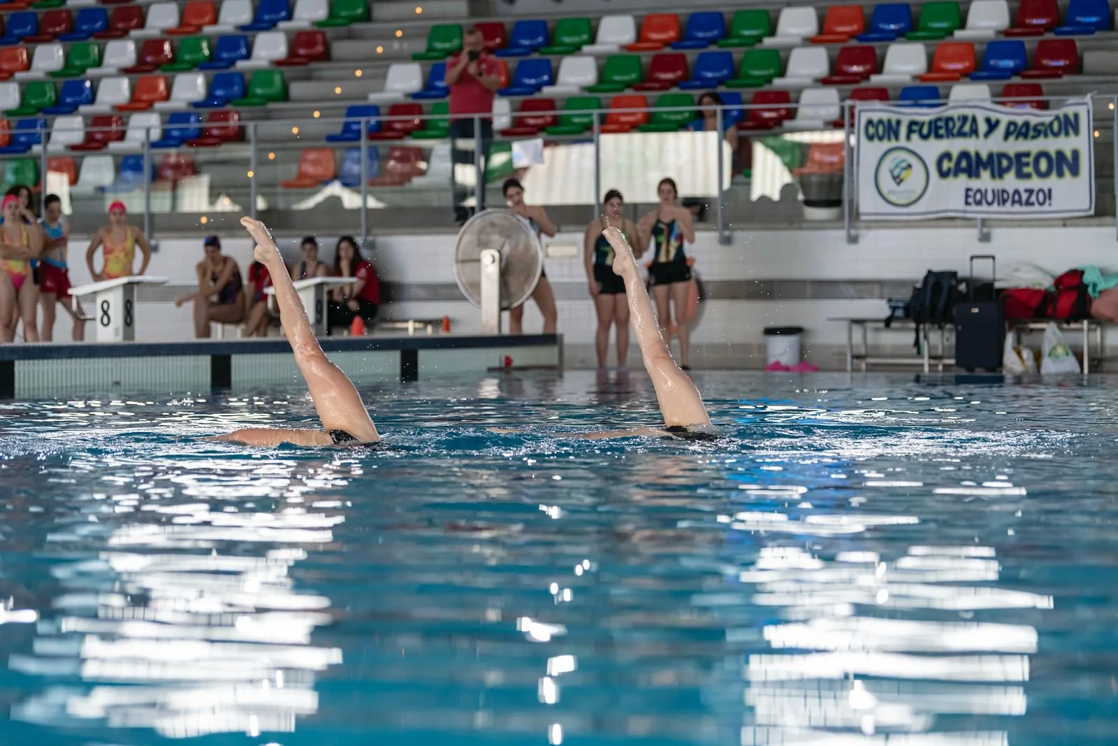 WhatsApp Image 2026-04-02 at 11.47.43.jpeg