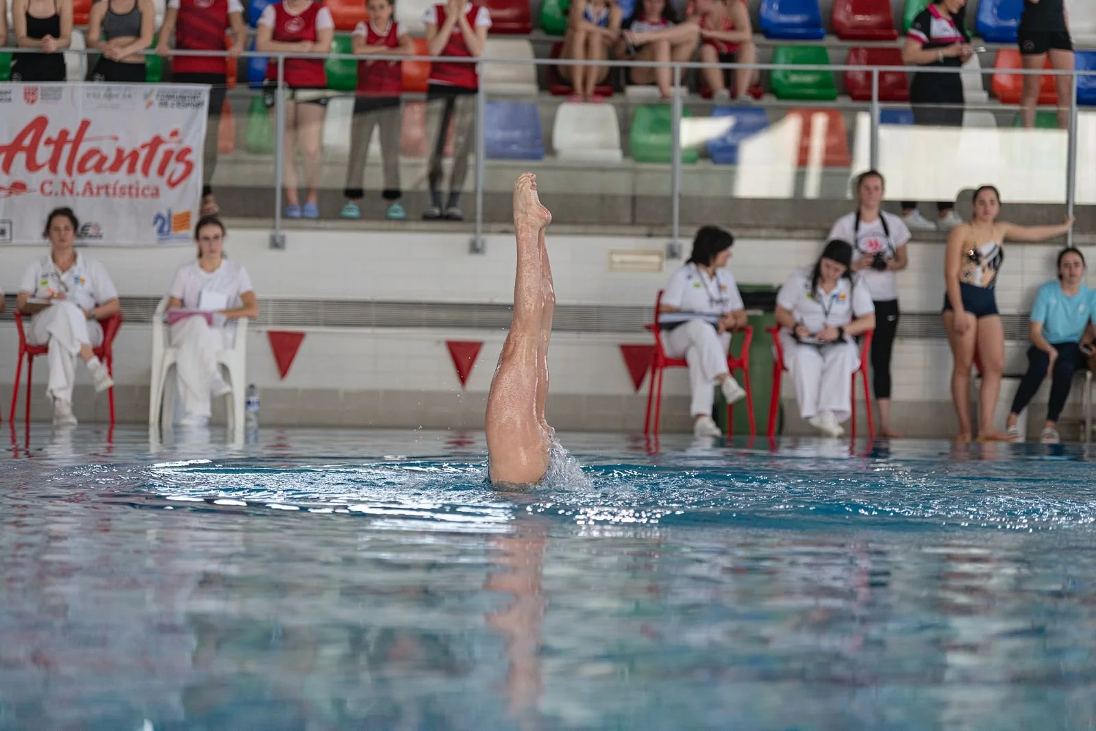 WhatsApp Image 2026-04-02 at 11.47.48.jpeg