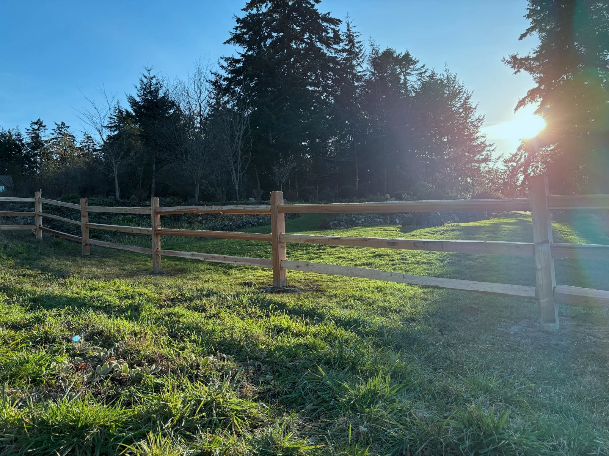 Rough cedar split rail fencing in Skagit County Washington