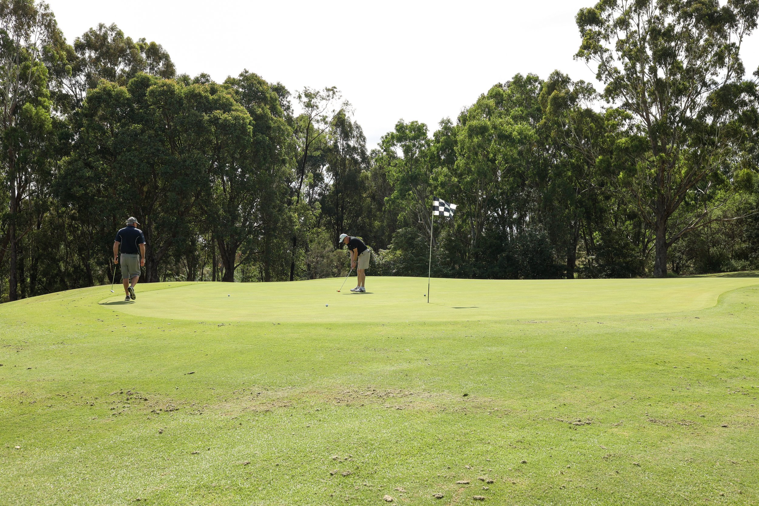 Metung Country Club Golf | Metung Country Club — Metung Country Club