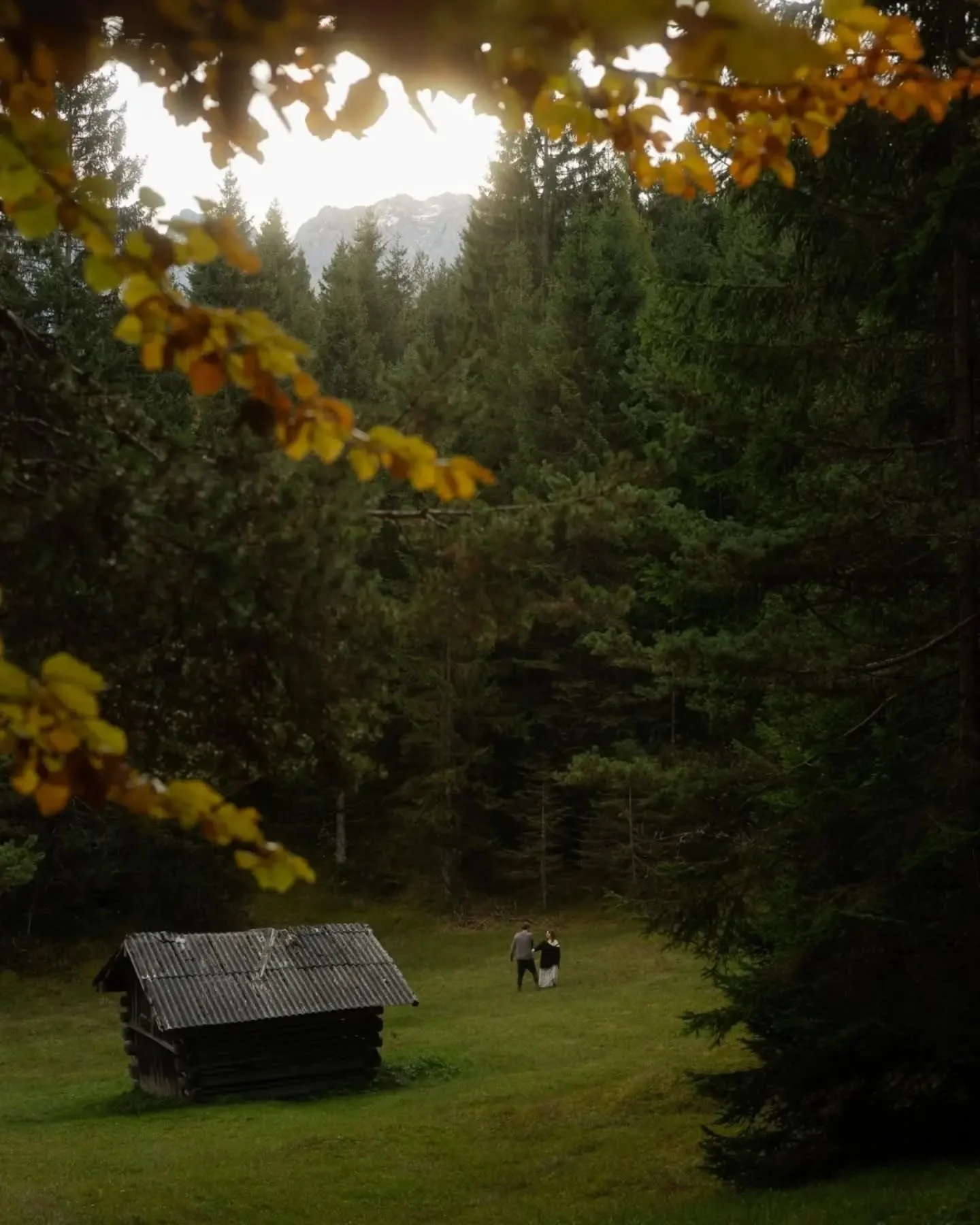 Even though nature is blooming &amp; spring is in full swing, my thoughts are with L &amp; M, whom I joined for an engagement session on an early morning last October at the edge of the Alps. I have rarely experienced such a beautiful golden autumn, 