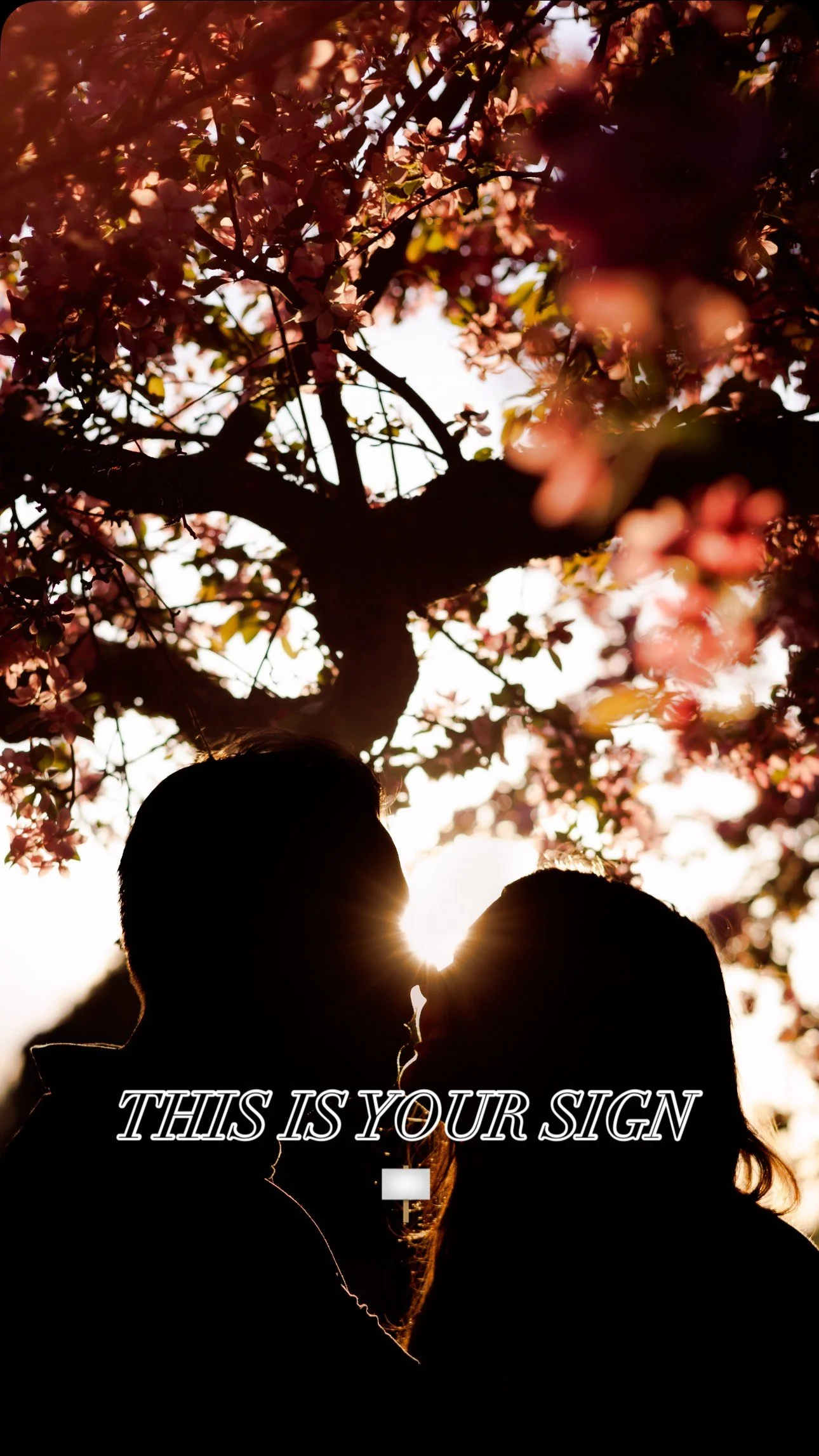 🪧 This is your sign…
To romanticize your love story and capture it as authentic as you! 🔔
Calling all brides & grooms-to-be:
✨ Want photos + films that feel like you?
✨ Ready to relive the day, not just remember it?
✨ Craving real mom