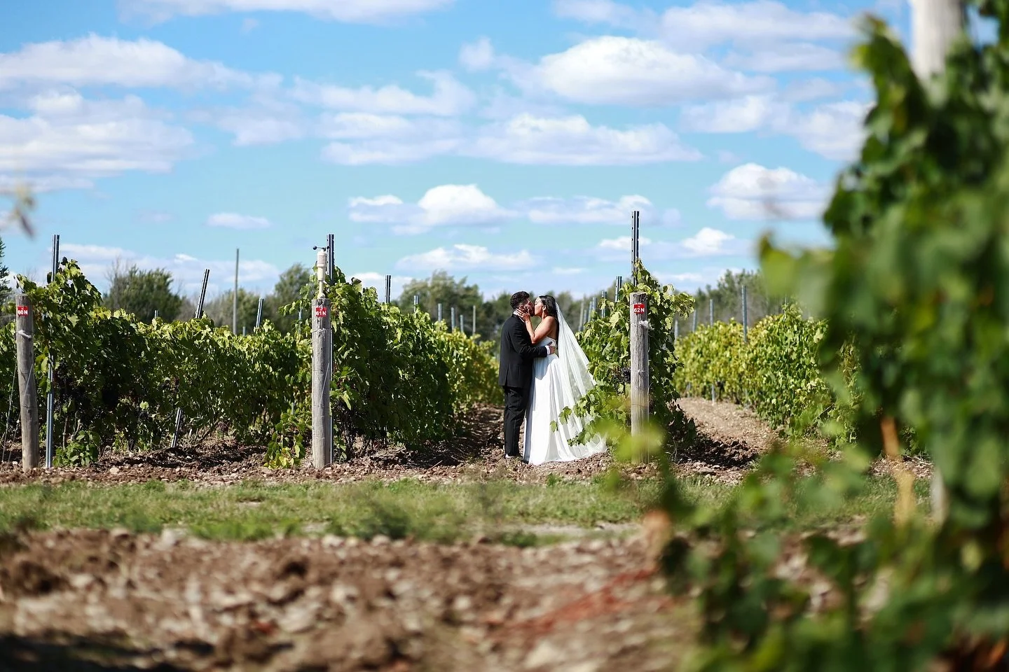 ✨ From sacred vows at the St Gregory’s Church to a celebration filled with laughter, love, and glasses of wine at @KarlosEstates 🍷 This day was nothing short of unforgettable. These two radiated joy in every moment together!
Bridal beauty by