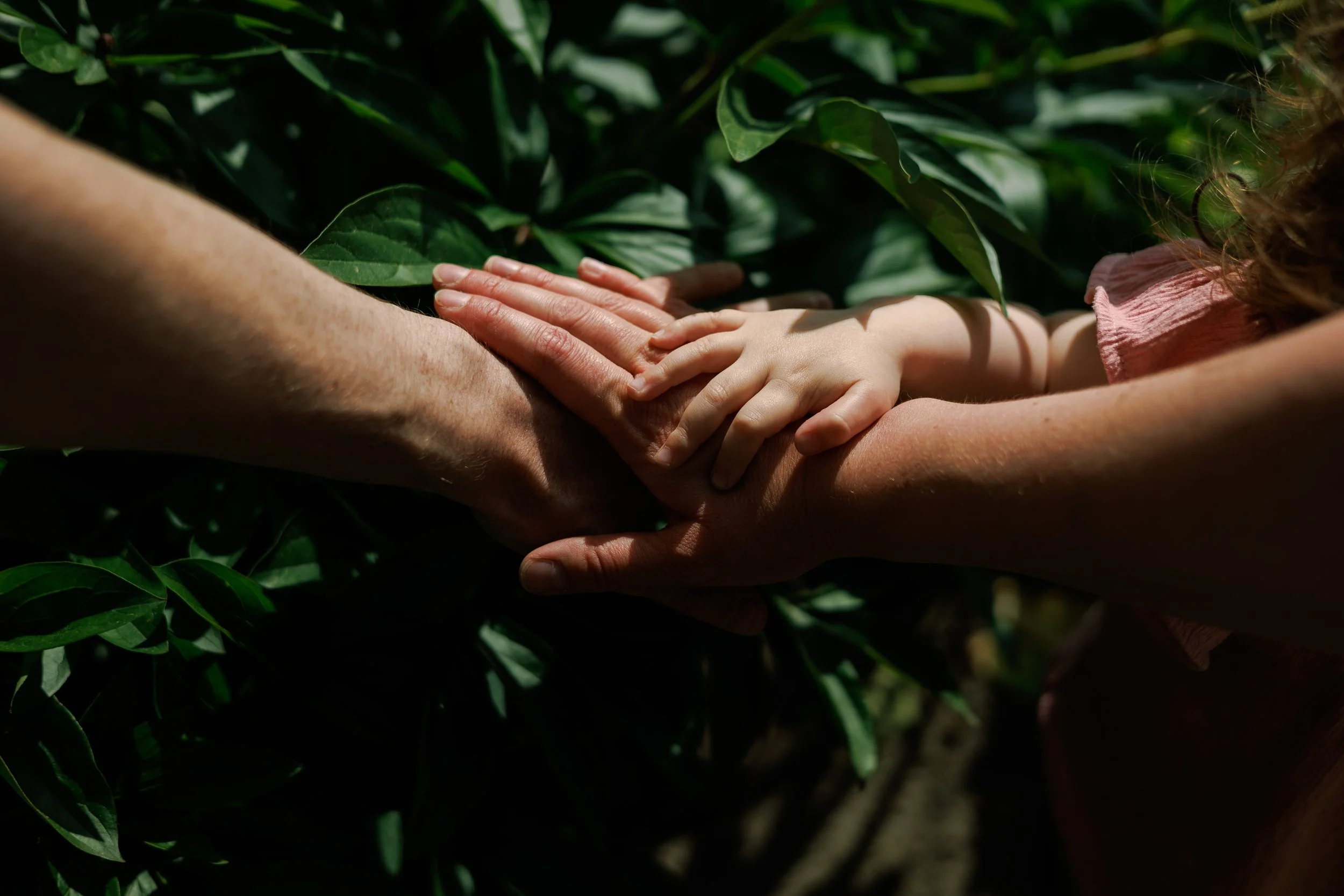 Multiple hands, including a child's hand, stacked together over green foliage.