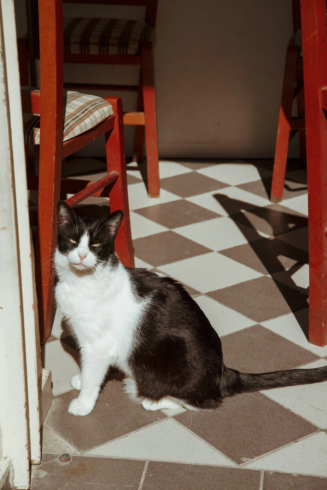18-DSC03594.jpeg