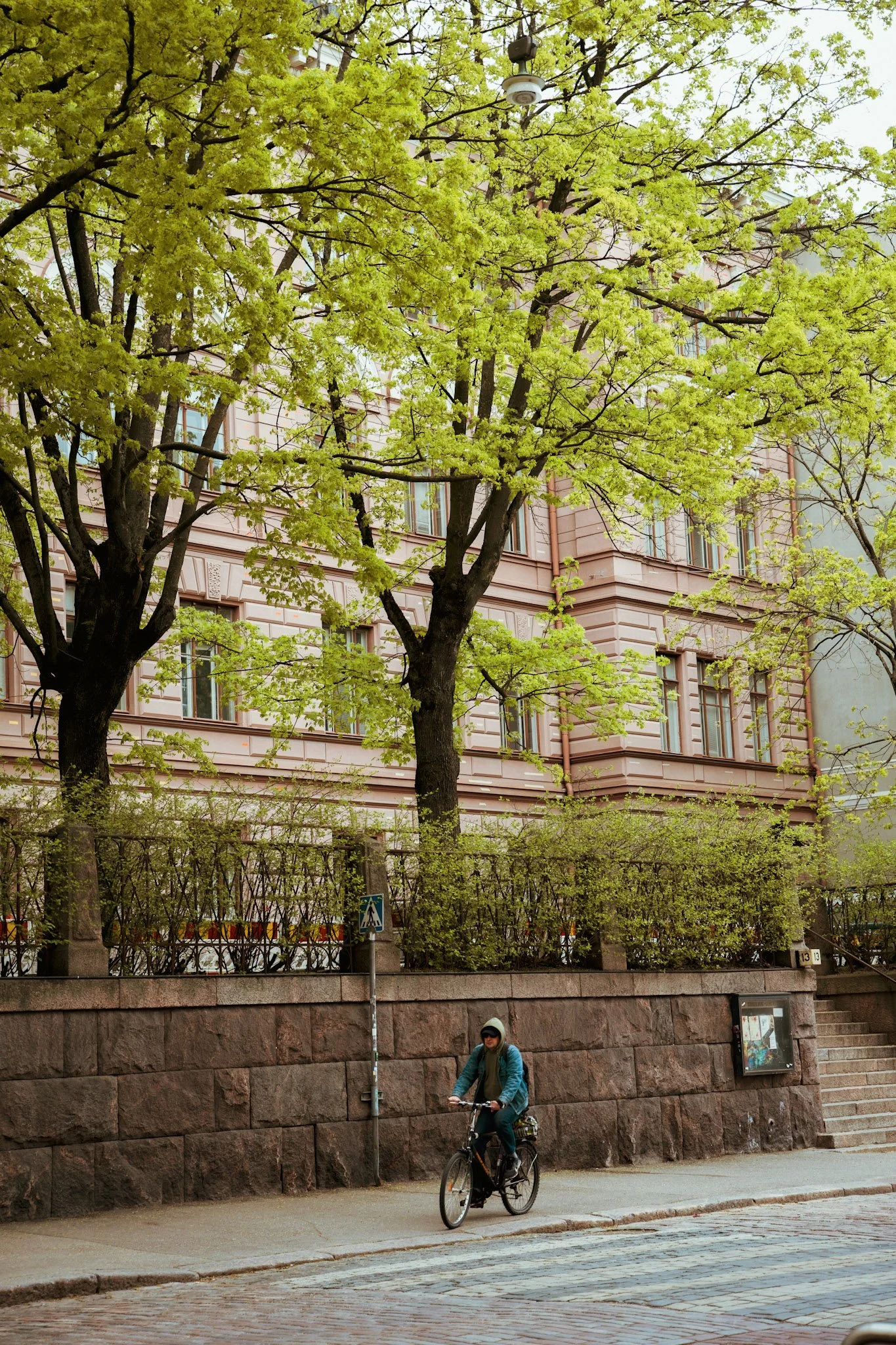6-DSC04670.jpeg