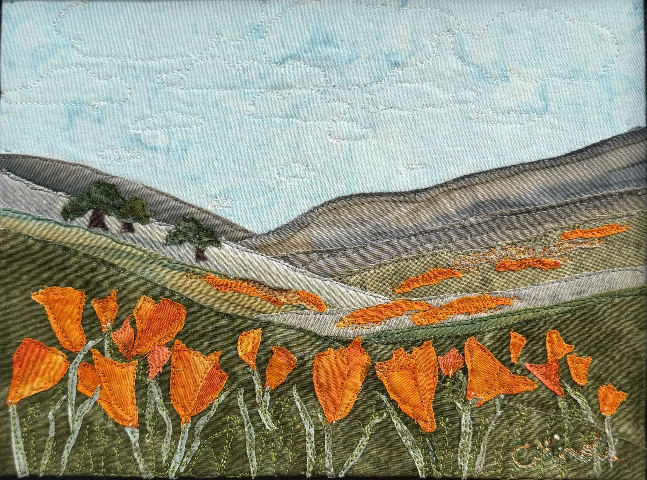 California Poppies