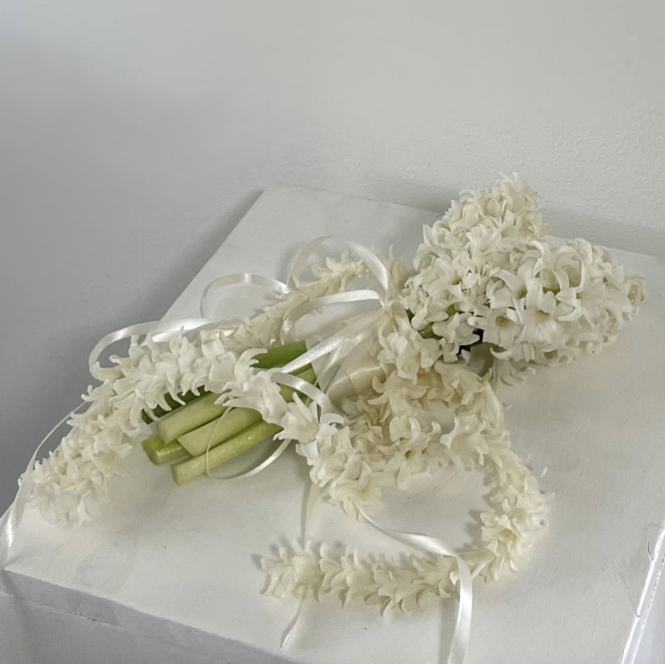 Screen Shot 2025-04-15 at 1.35.42 PM.png