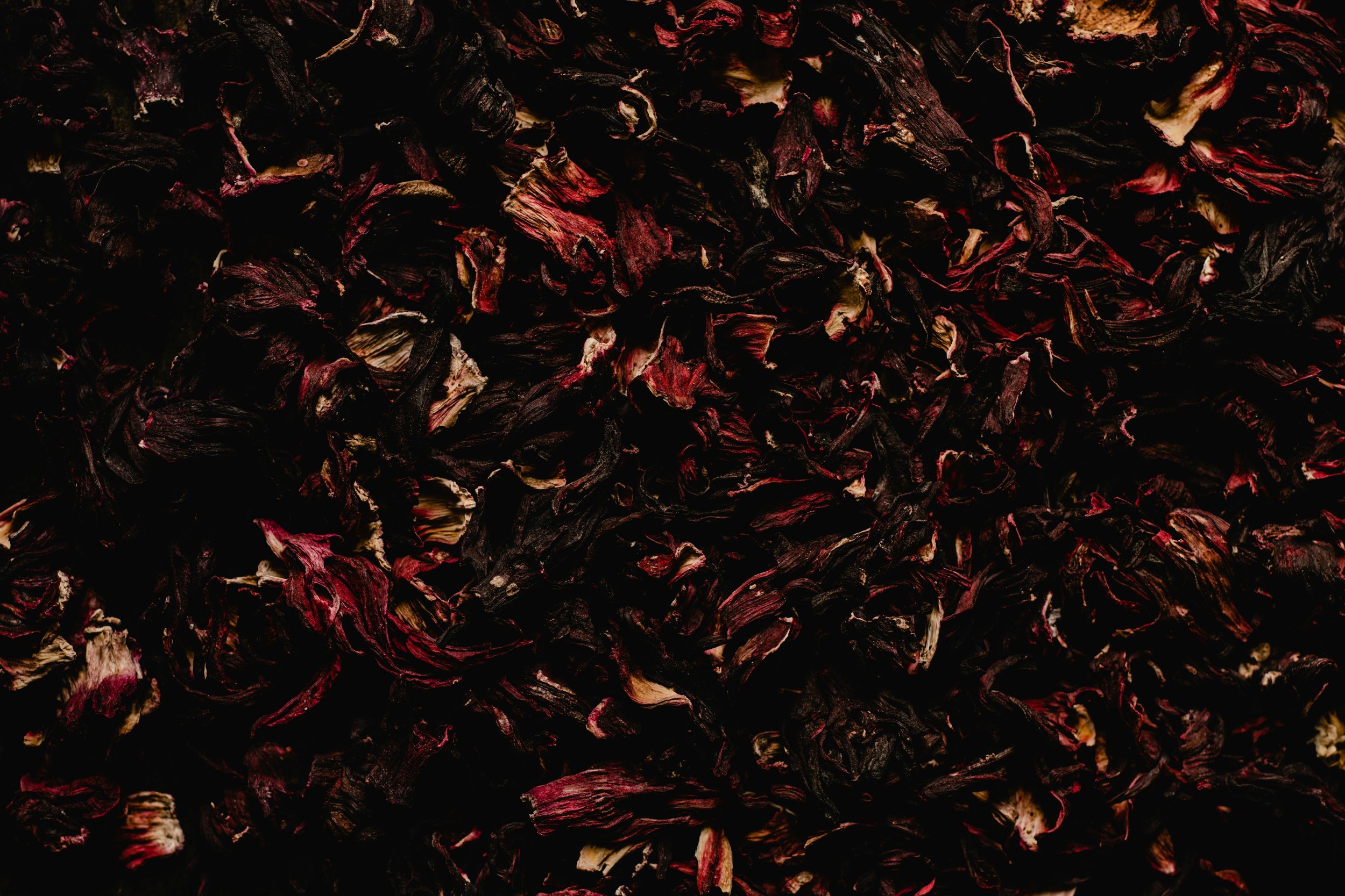 hibiscus.jpeg