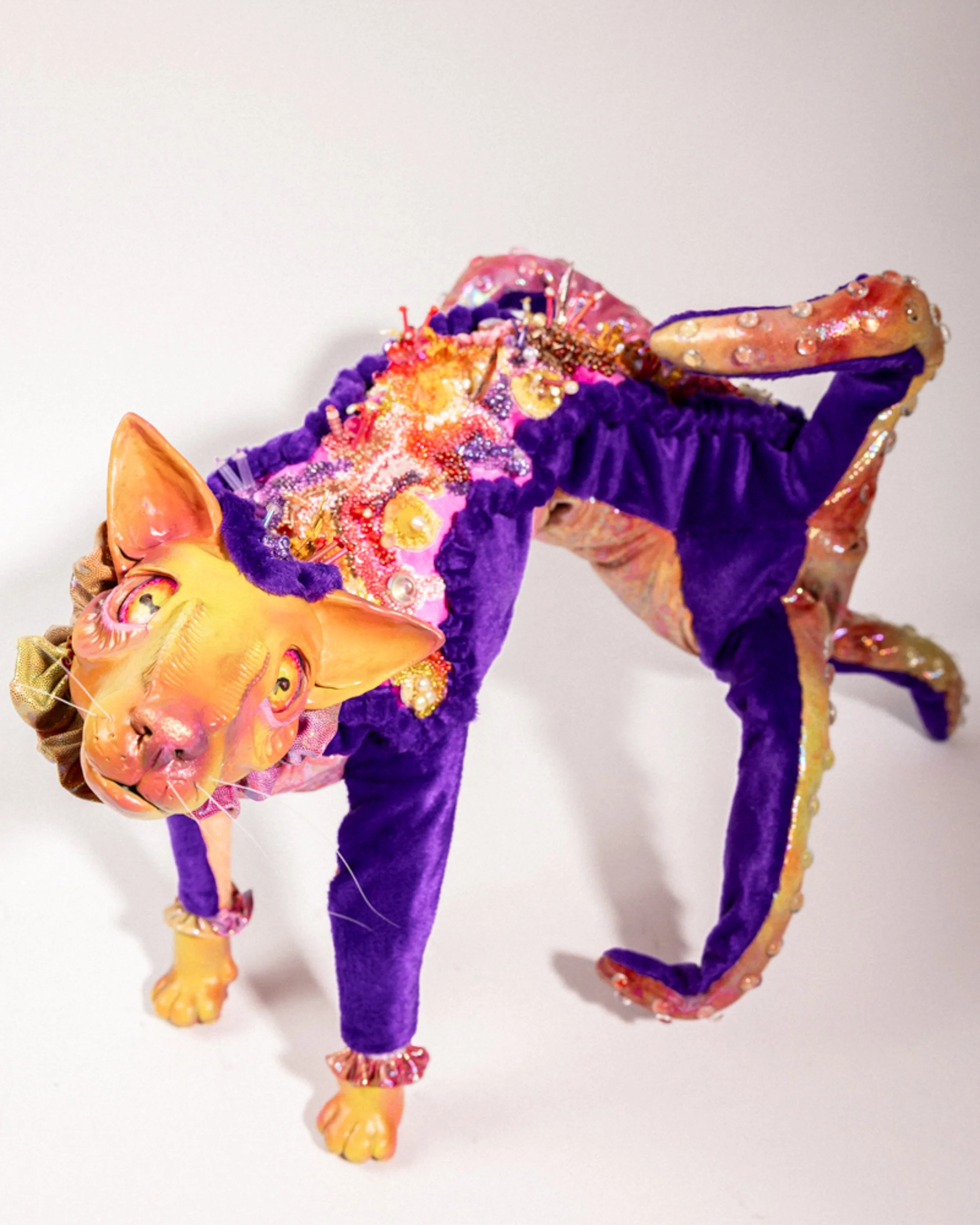 "Curiosity" draws elements from cats, octopuses, and sea horses