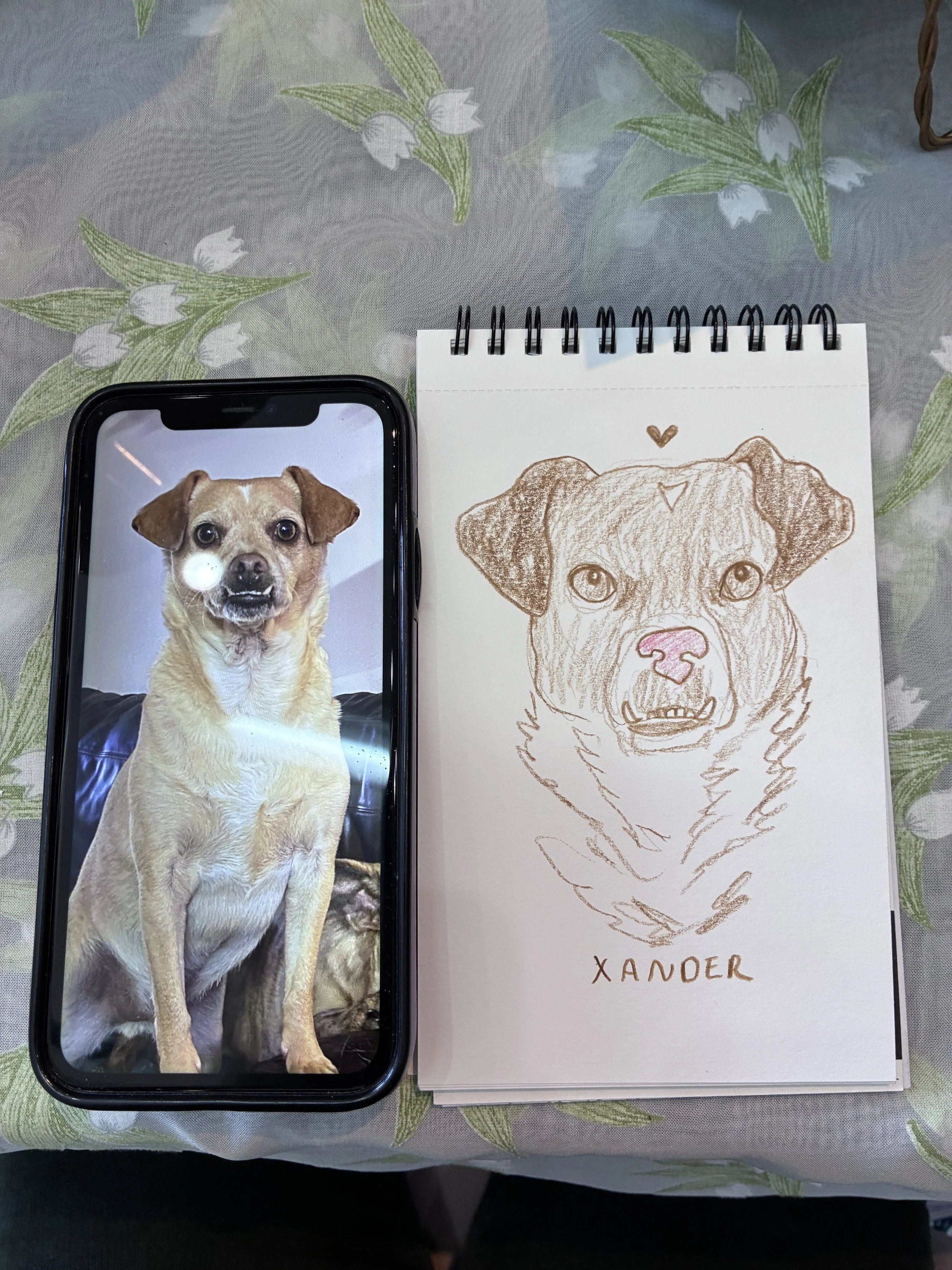 5 Minte pet portrait