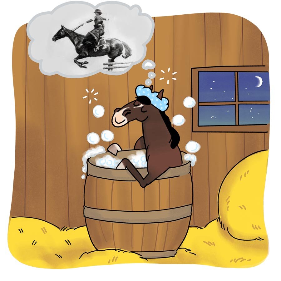 Cartoon horse in washtub dreaming of horseback riding